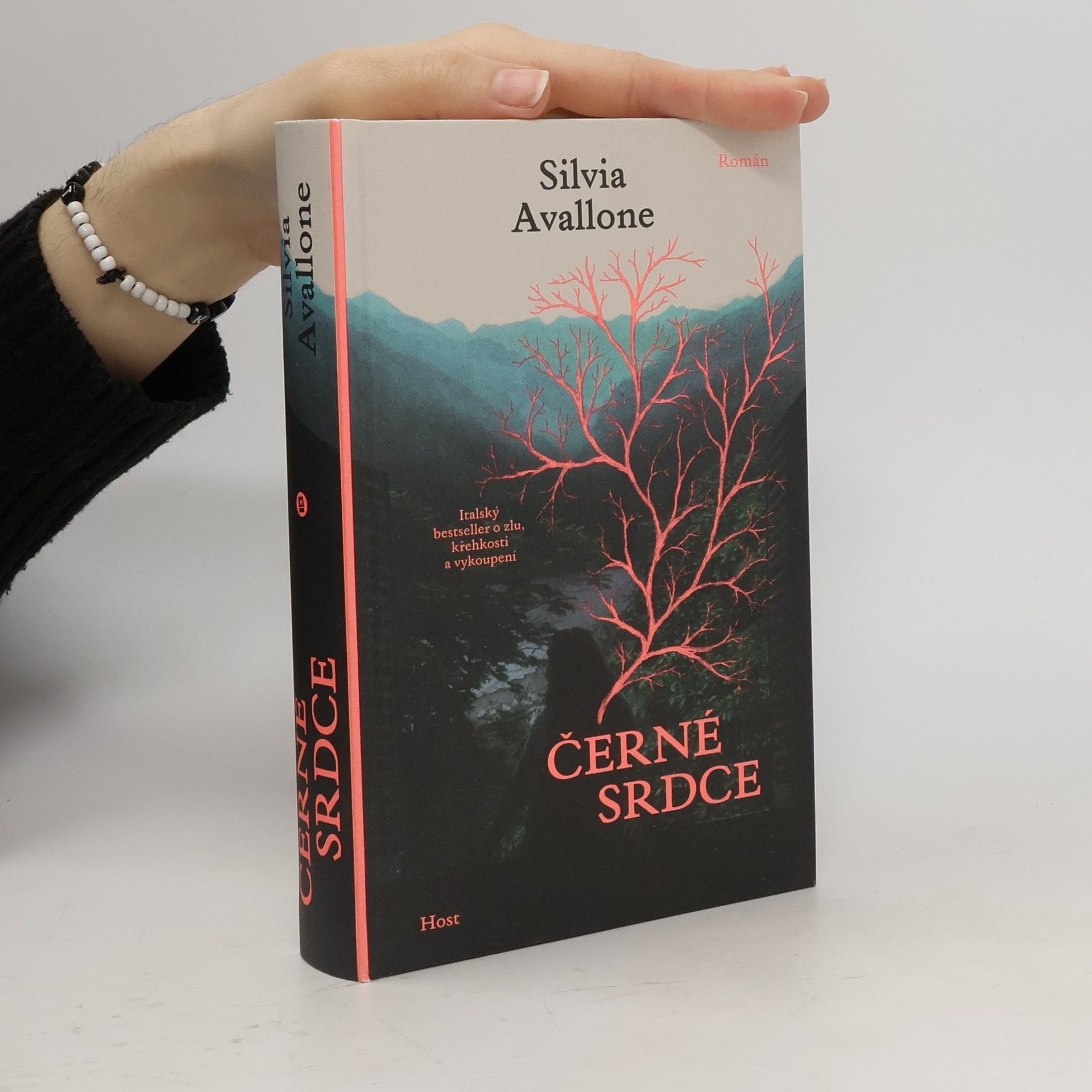 Silvia Avallone Černé srdce