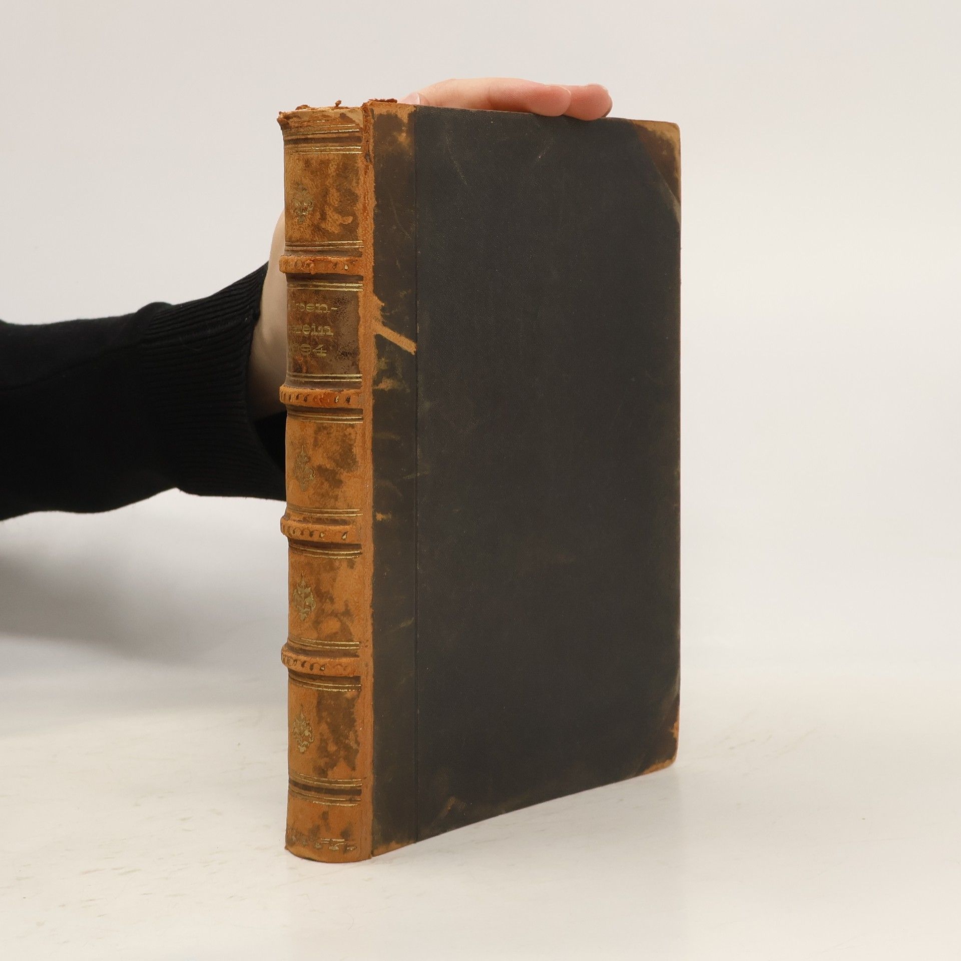 Johanner Emmer Zeitschrift des Deutschen und Oesterreichischen Alpenvereins XXV.