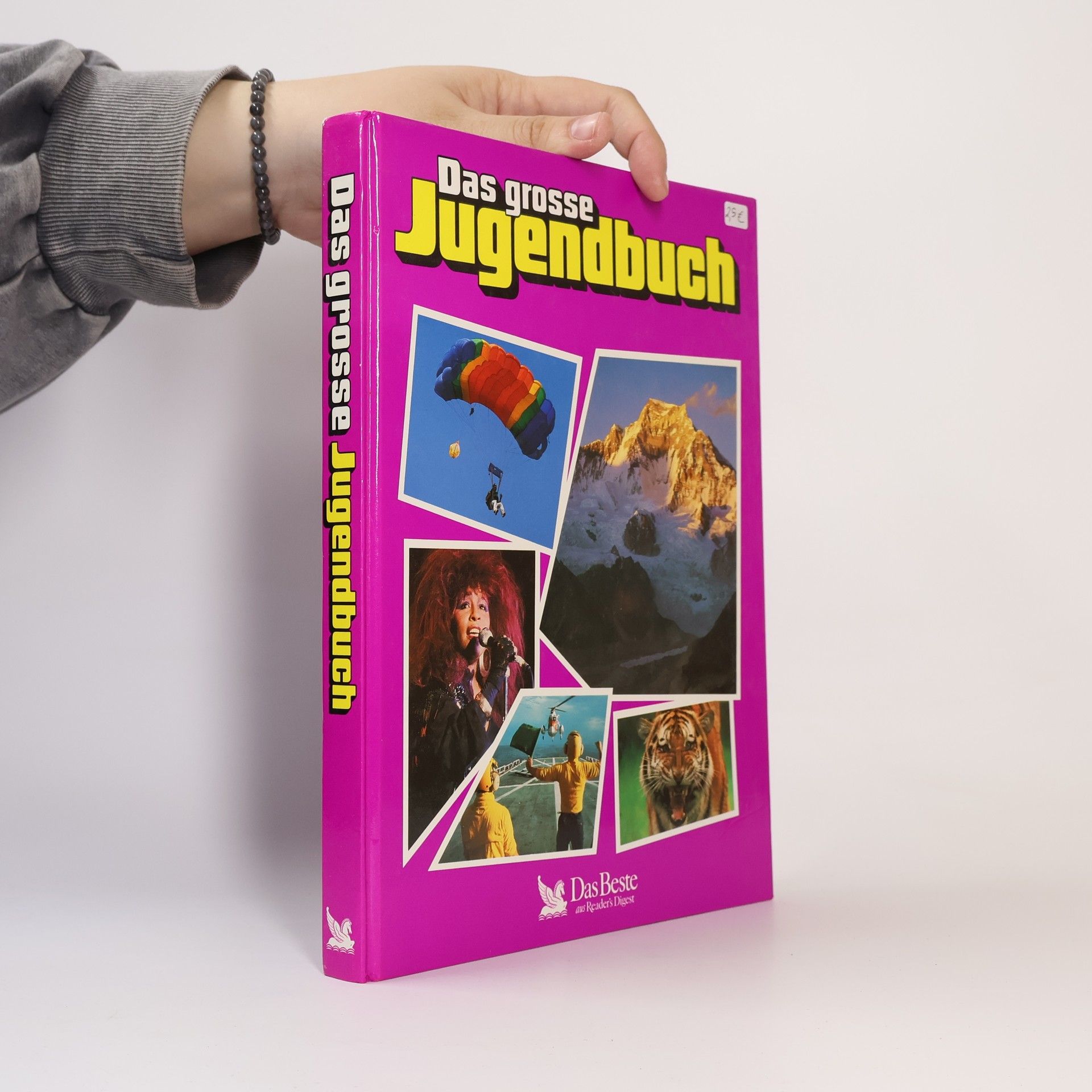 Autorenkollektiv Das große Jugendbuch