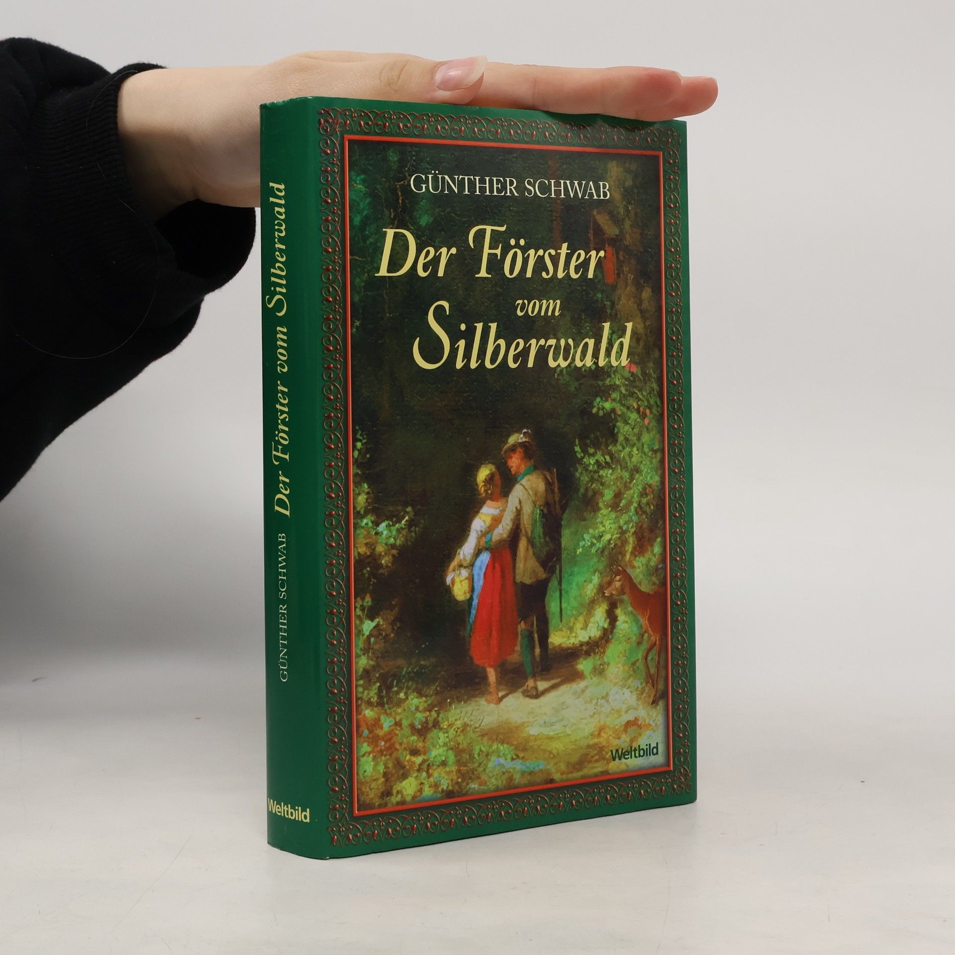 Jodi Picoult Die Wahrheit meines Vaters