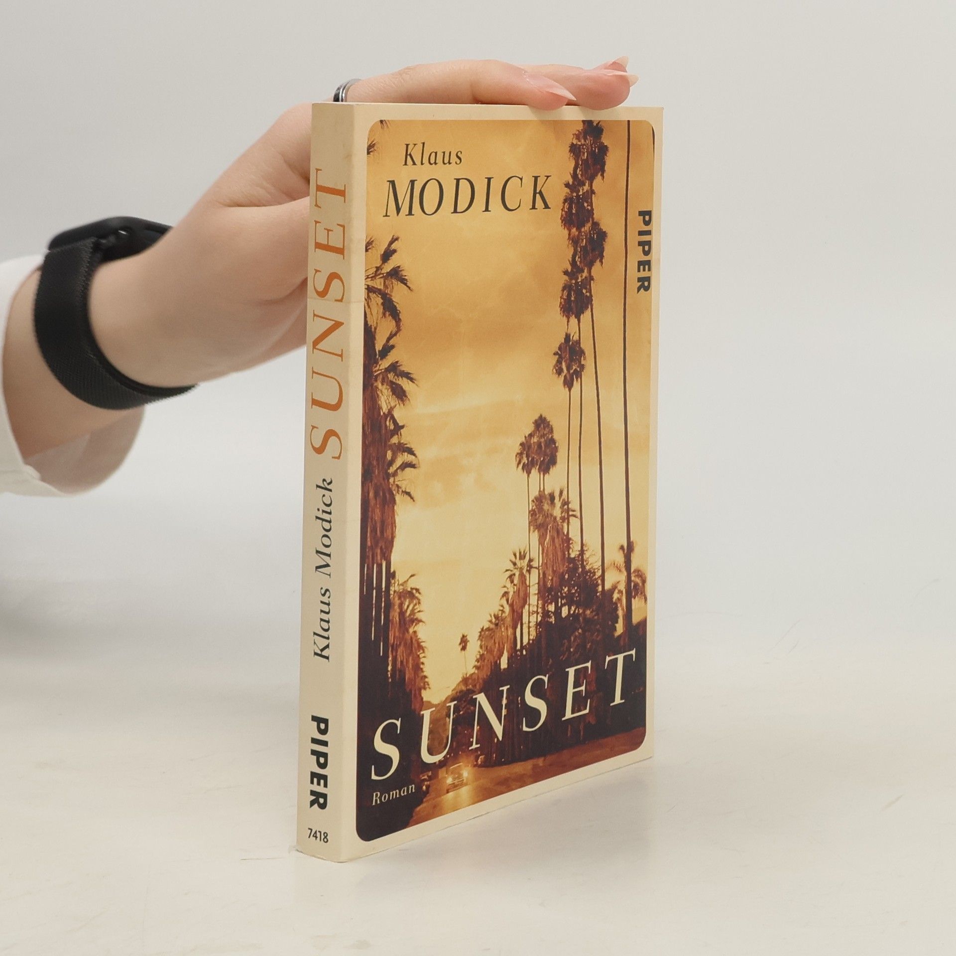Klaus Modick Sunset