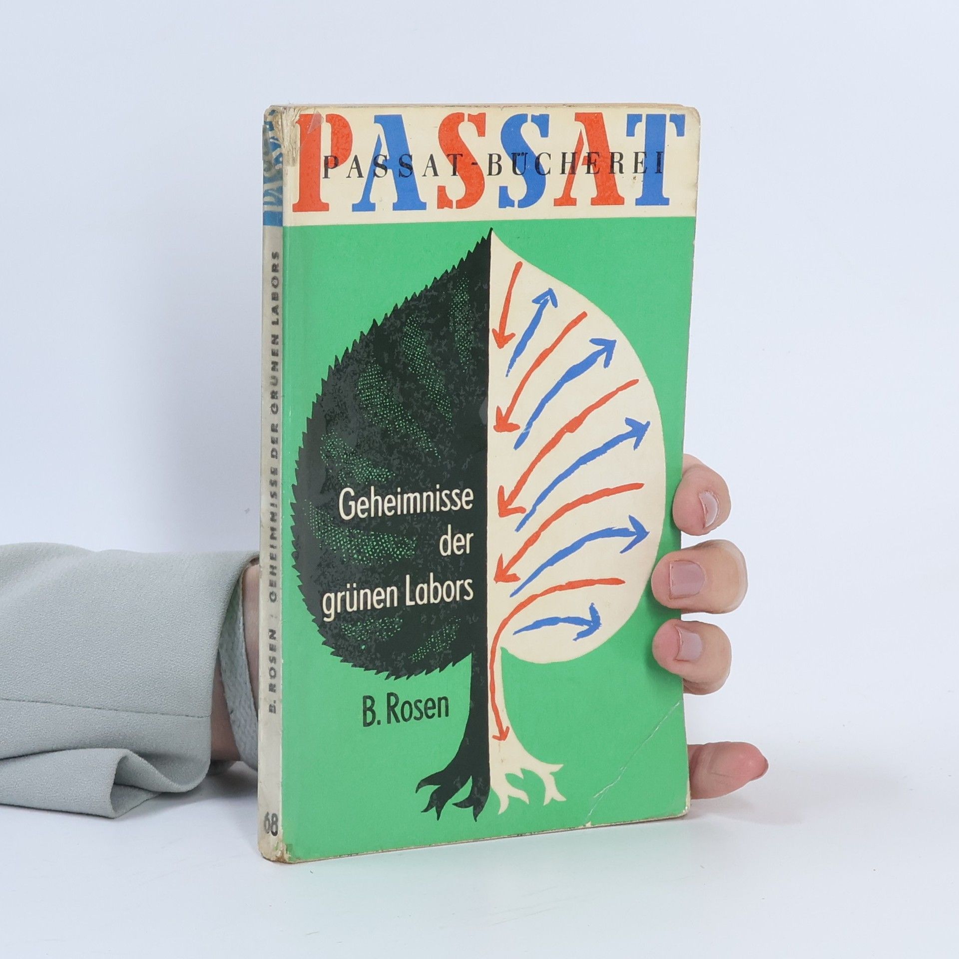 B. Rosen Geheimnisse der grünen Labors