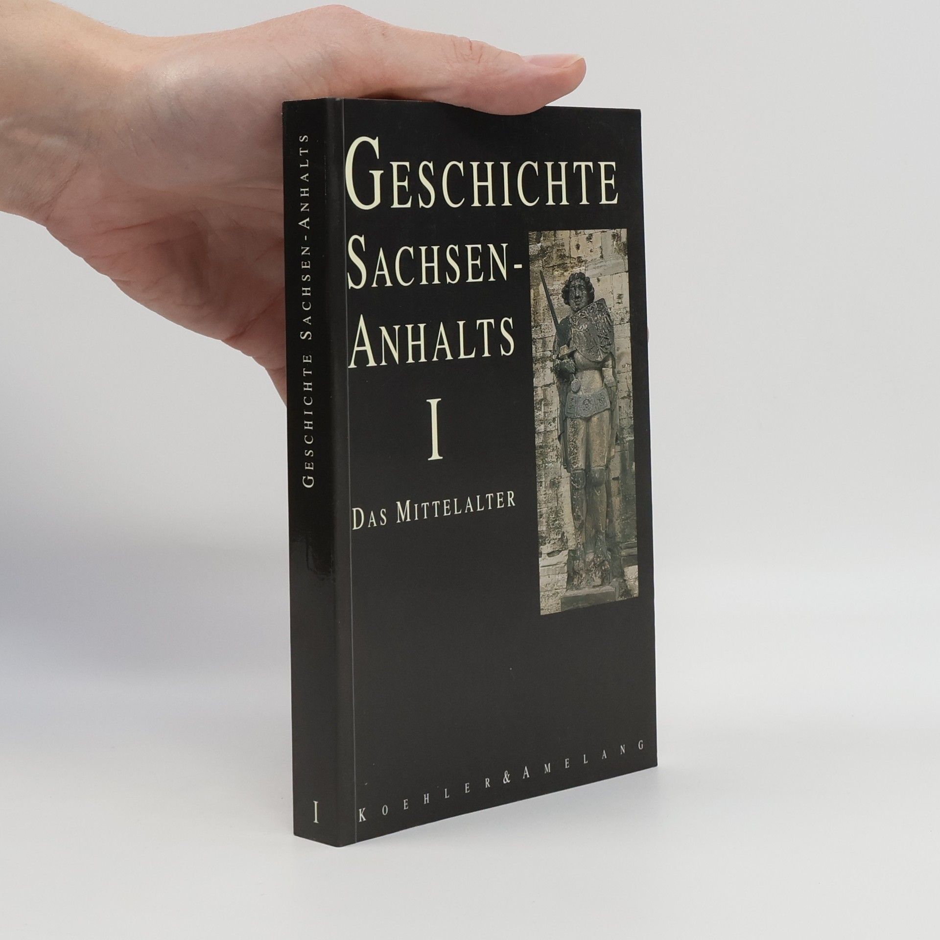 Kolektiv autorů Geschichte Sachsen-Anhalts I