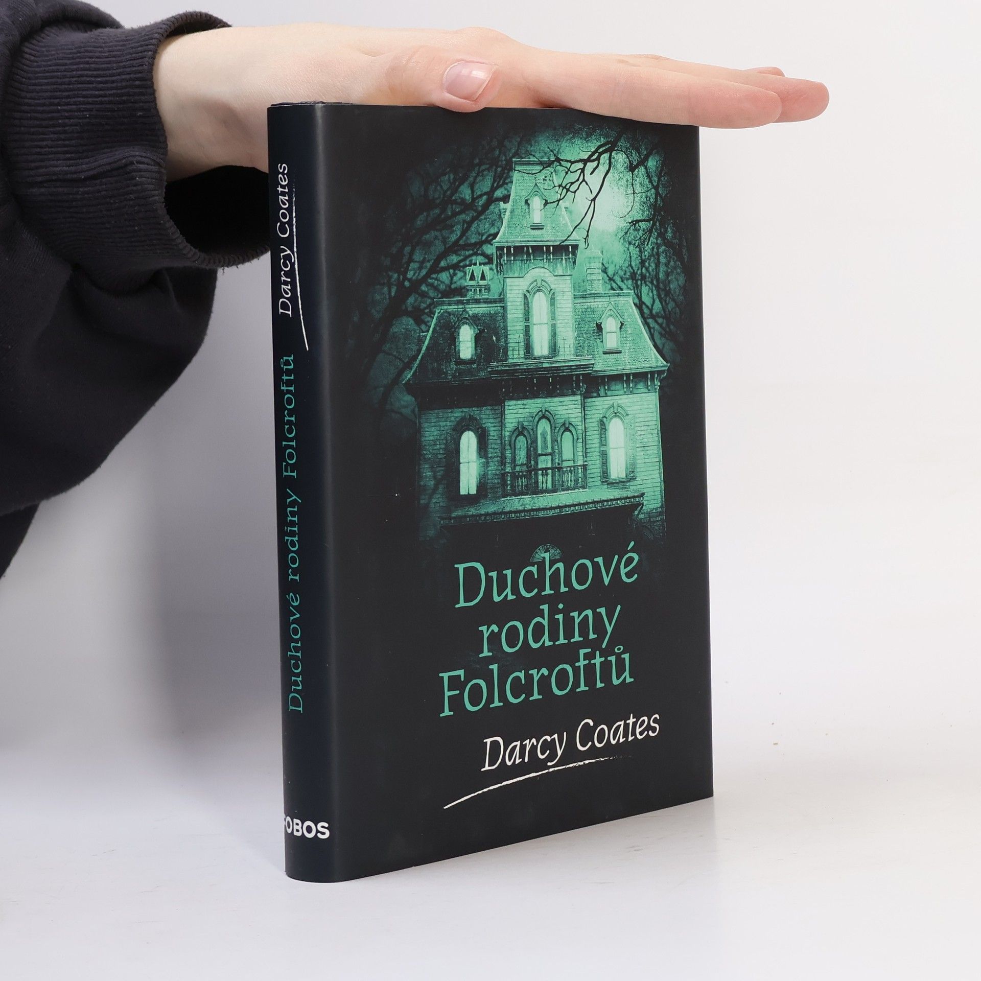 Darcy Coates Duchové rodiny Folcroftů