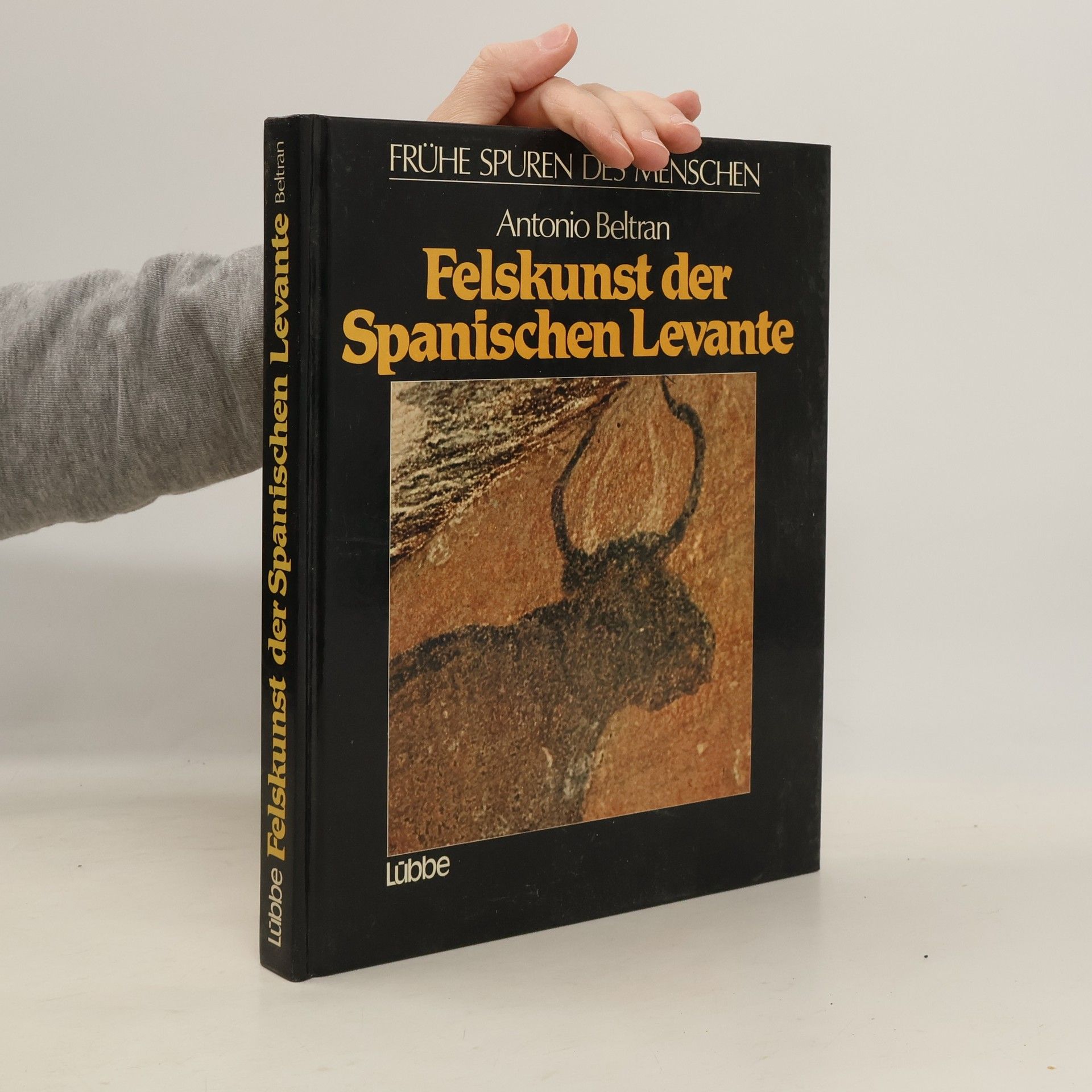 Antonio Beltrán Martínez Felskunst der Spanischen Levante