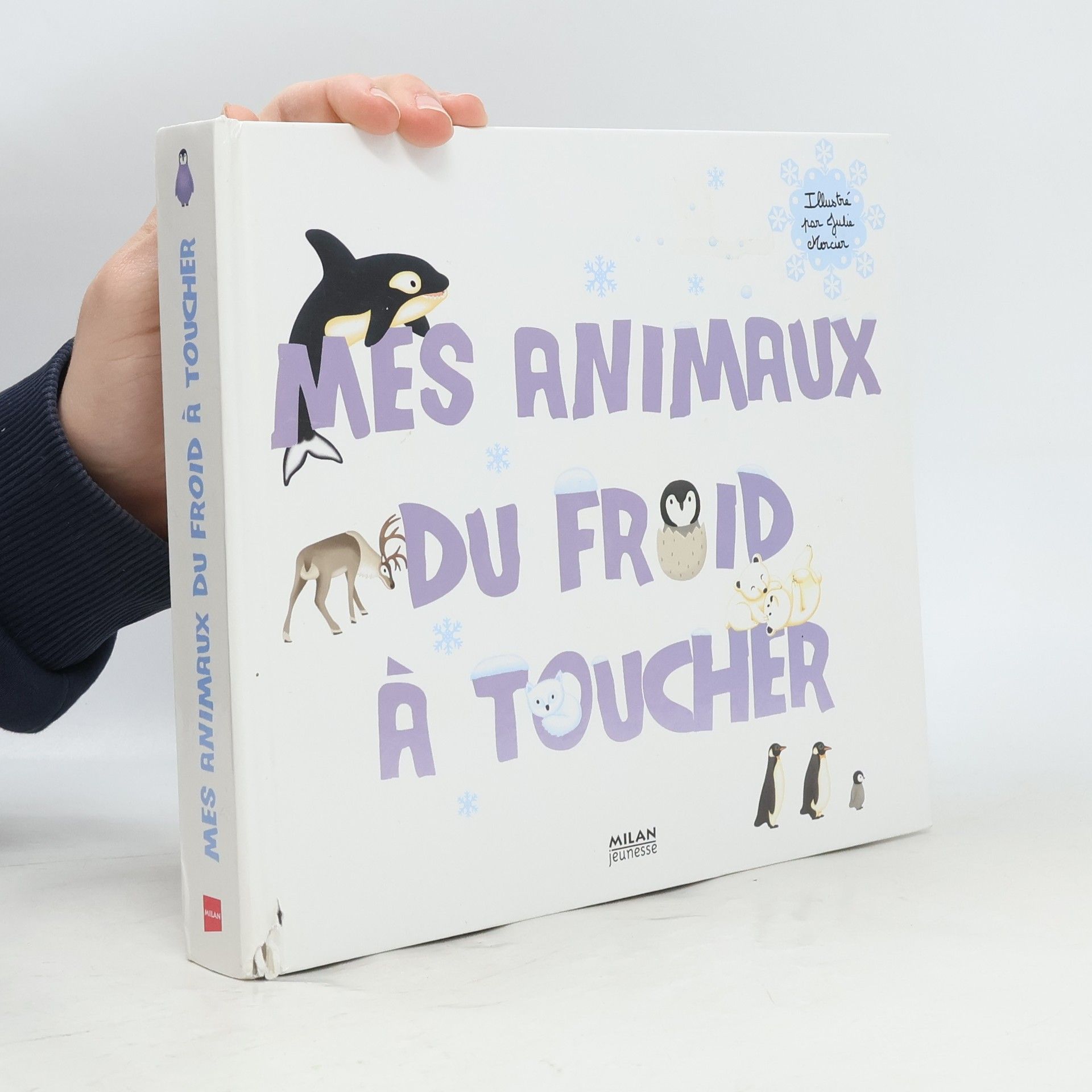 Julie Mercier Mes animaux du froid à toucher