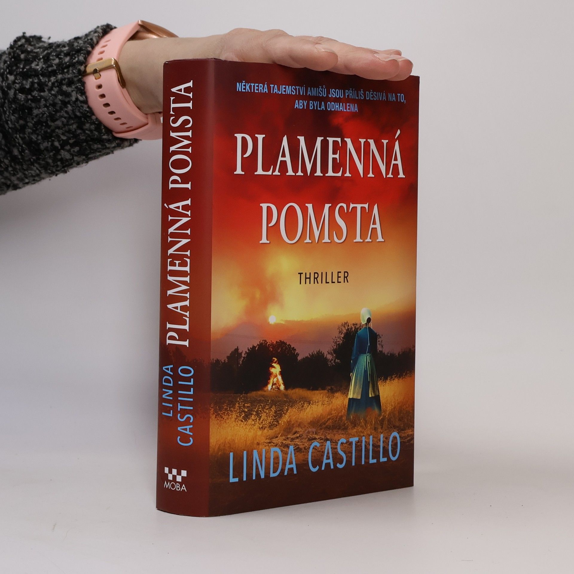 Linda Castillo Plamenná pomsta