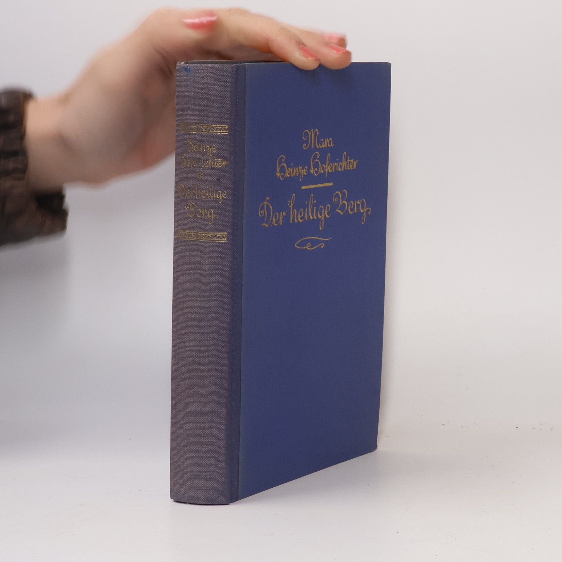 Mara Heinze-Hoferichter Der heilige Berg