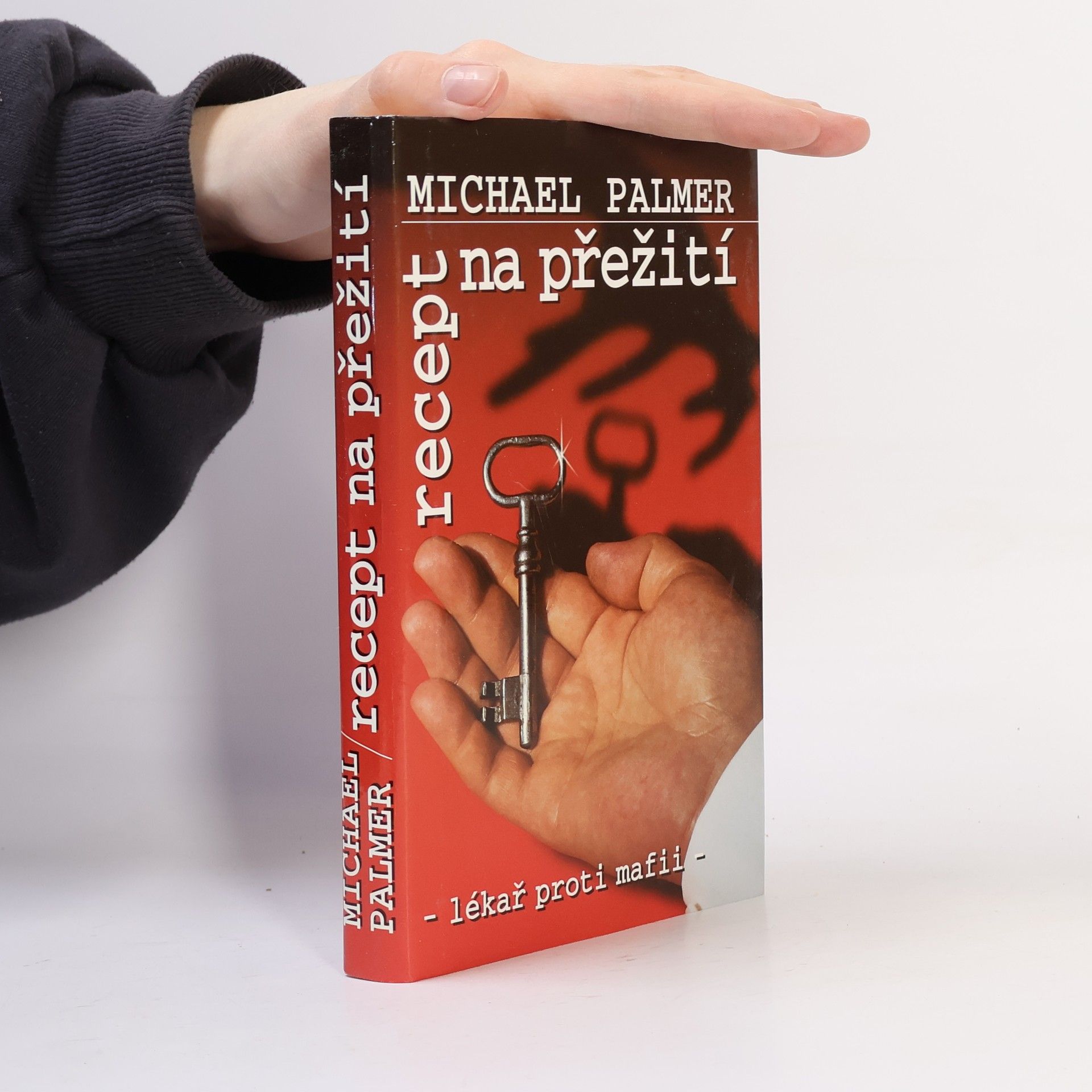 Michael Palmer Recept na přežití