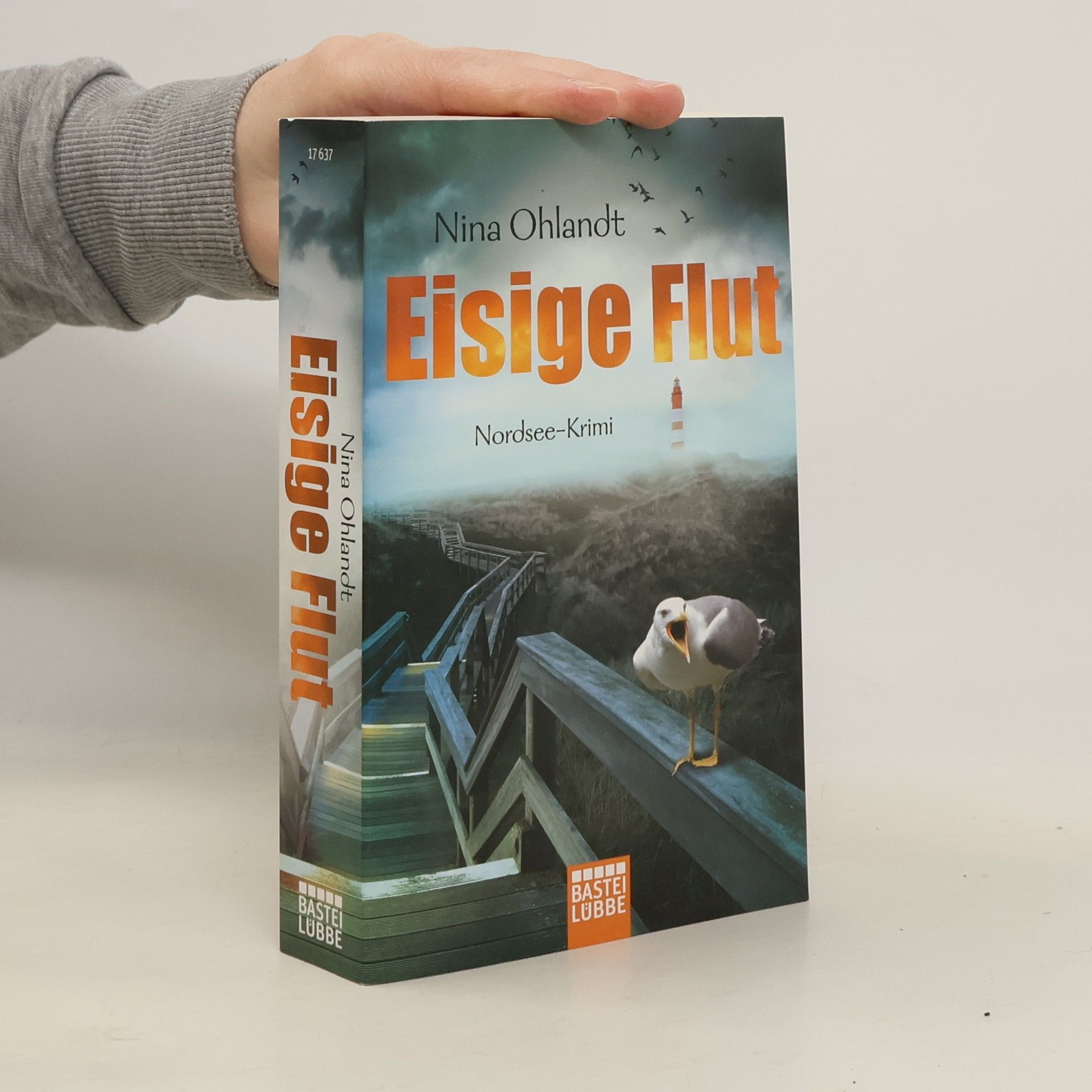 Nina Ohlandt Eisige Flut