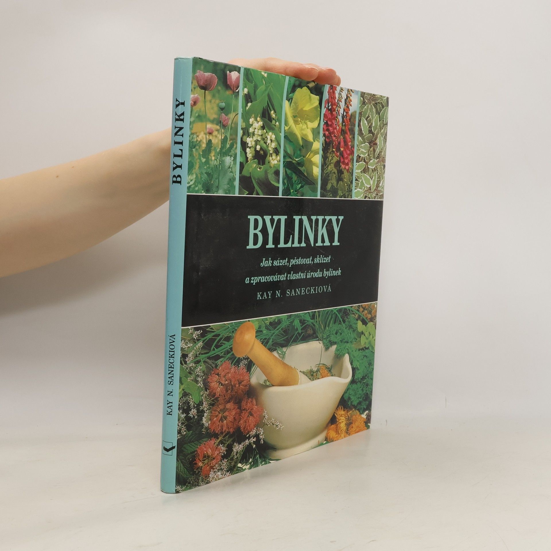 Kay N. Kay Naylor Sanecki Bylinky