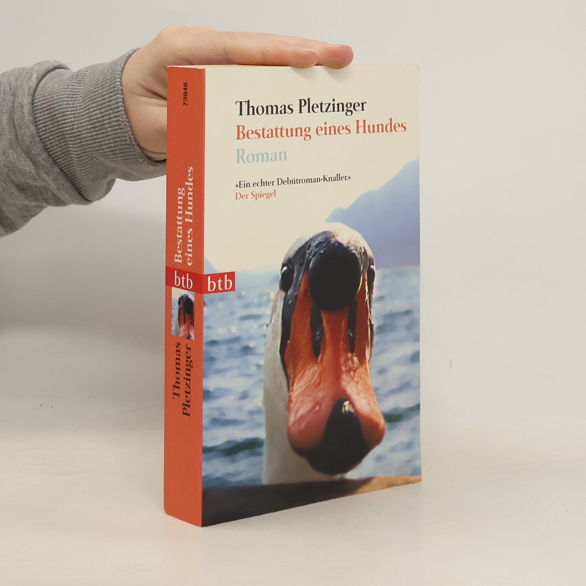 Bestattung eines Hundes