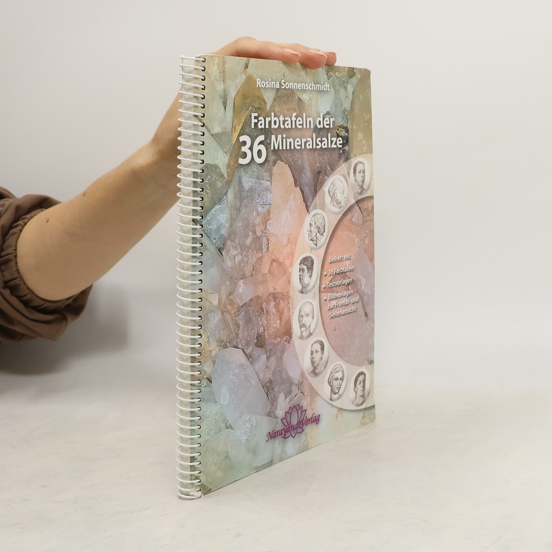 Rosina Sonnenschmidt Die Schüßler-Therapie mit 36 Mineralsalzen