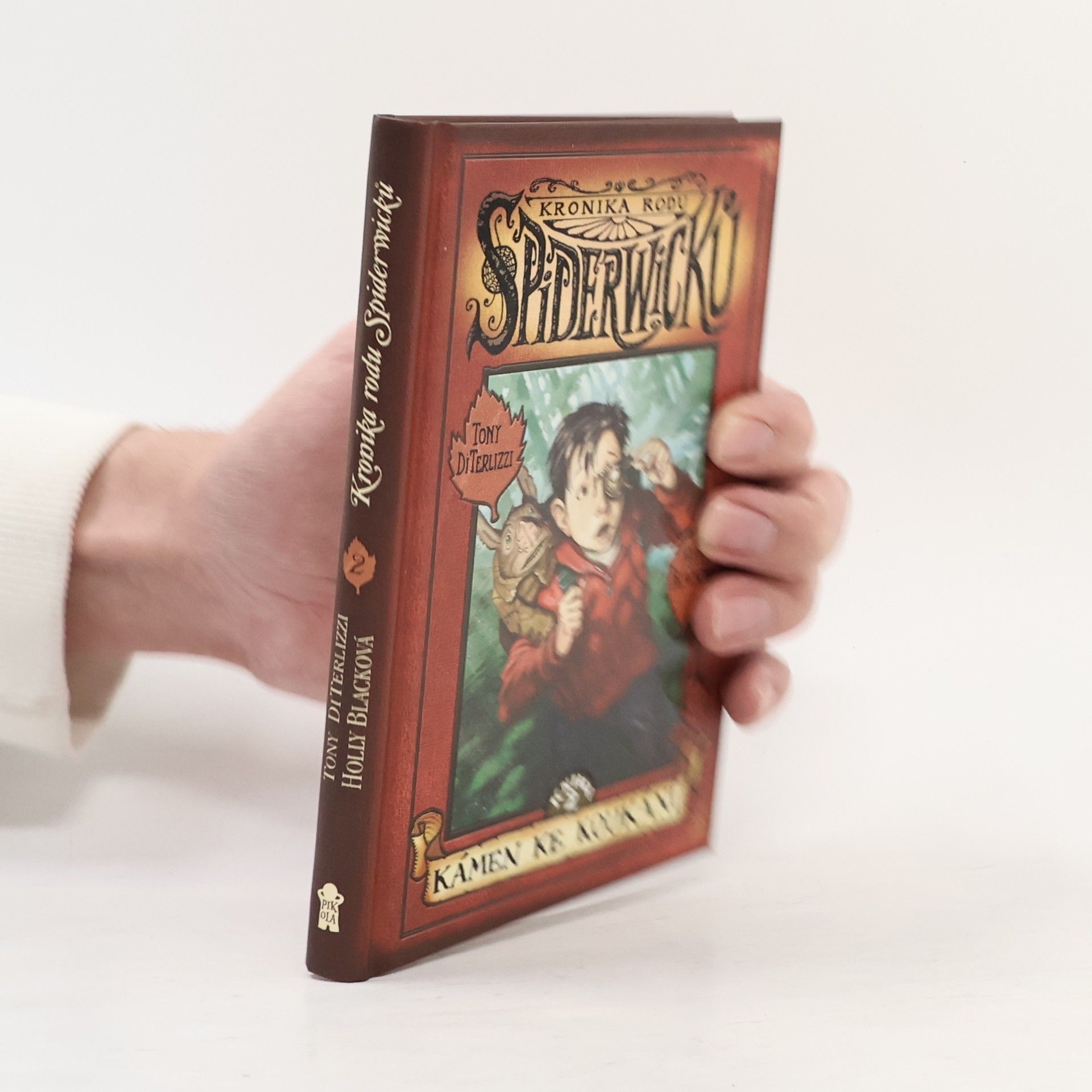 Jana Jašová Kronika rodu Spiderwicků. Kámen ke koukání 2