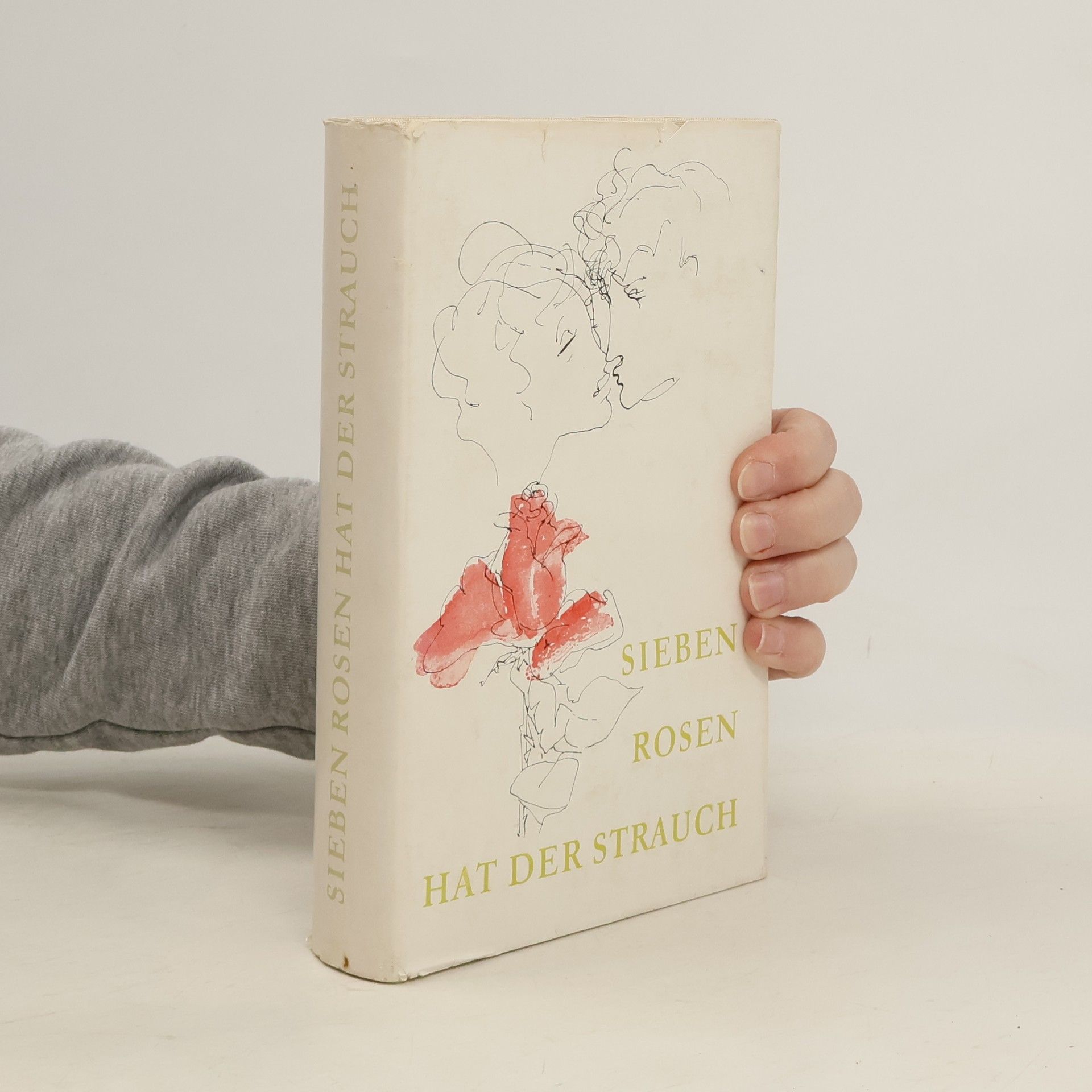 Autorenkollektiv Sieben Rosen hat der Strauch