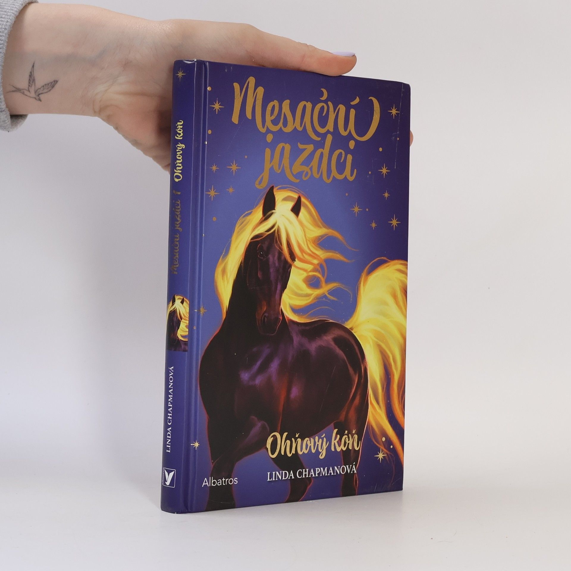 Linda Chapman Mesační jazdci. Ohňový kôň