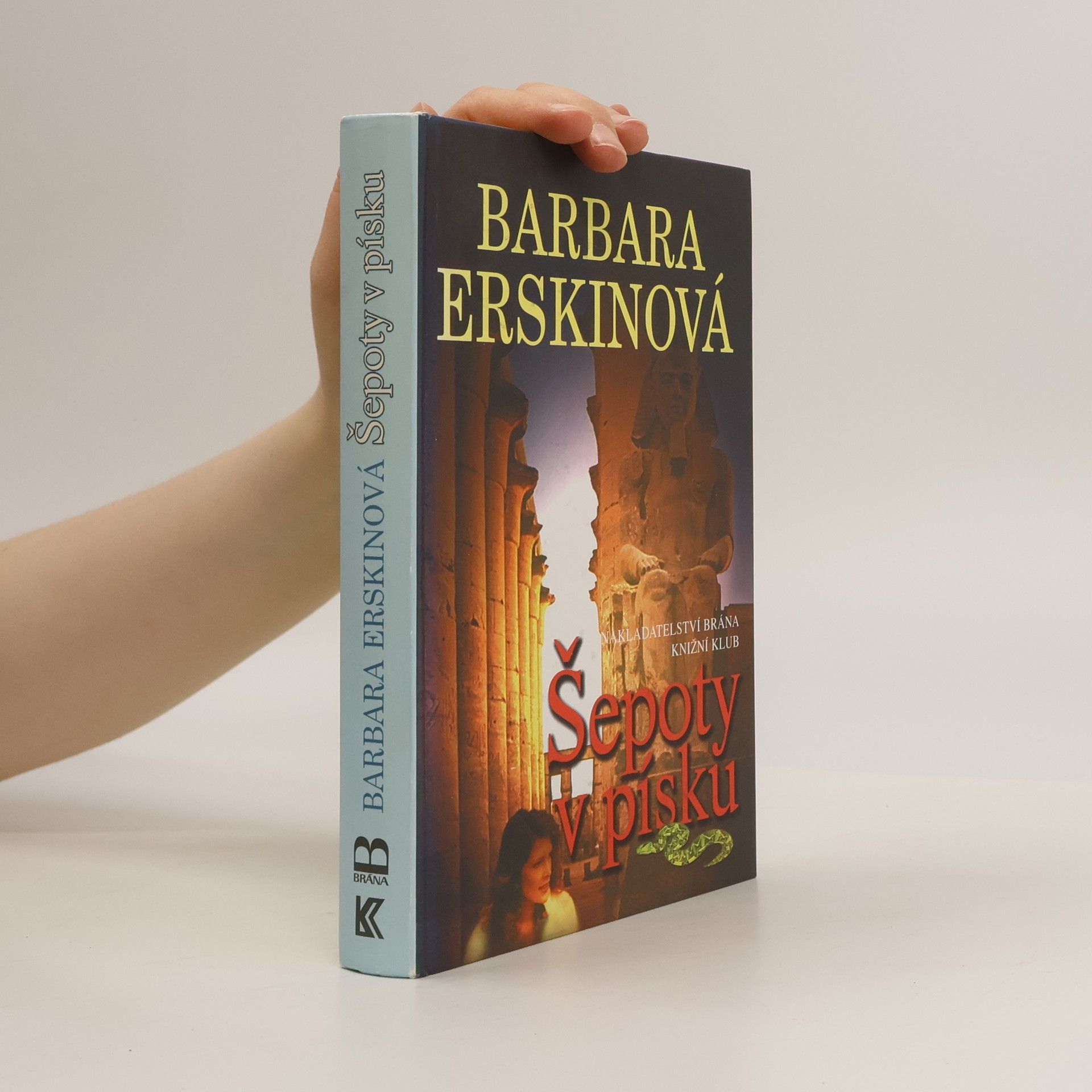 Barbara Erskine Šepoty v písku