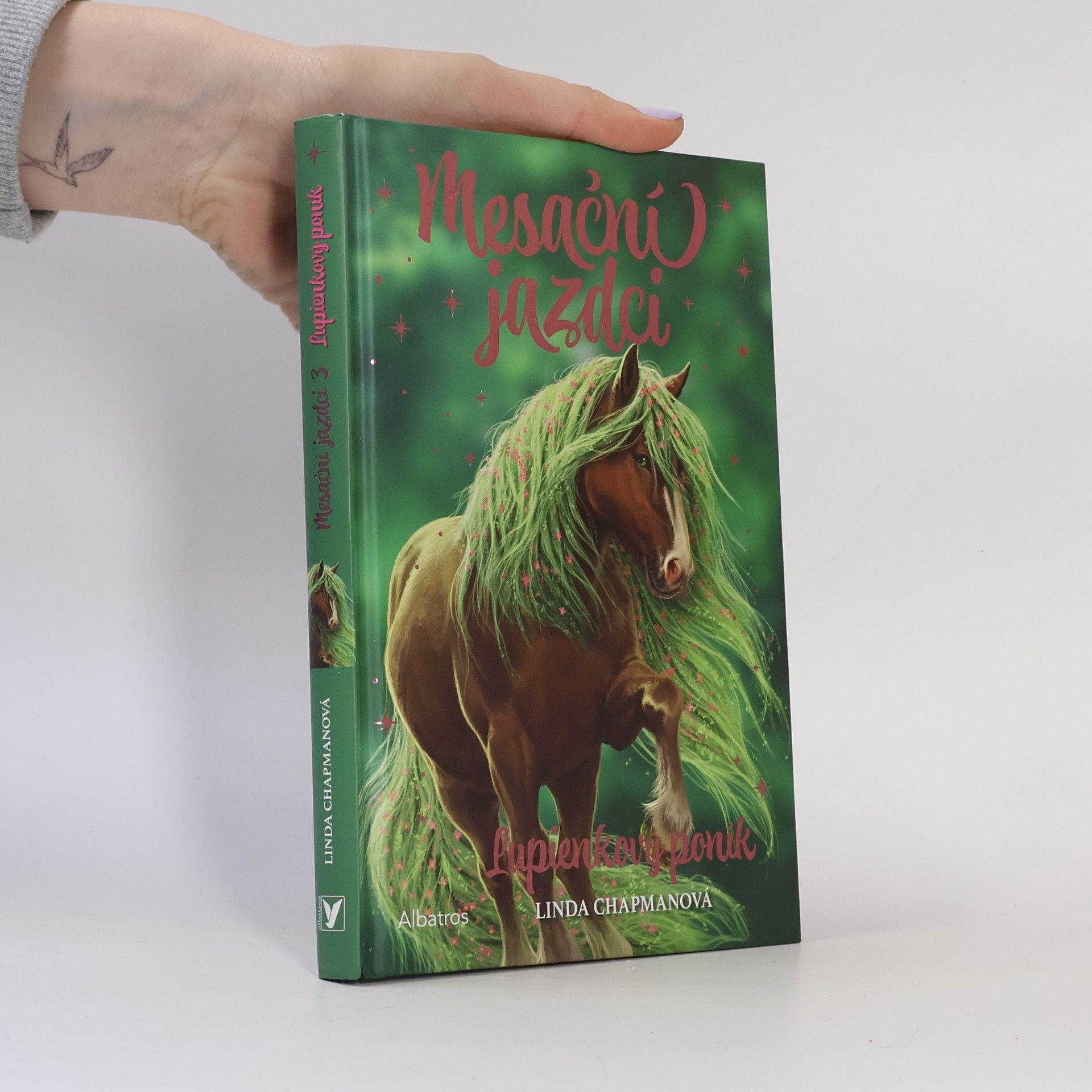 Linda Chapman Mesační jazdci 3 Lupienkový poník