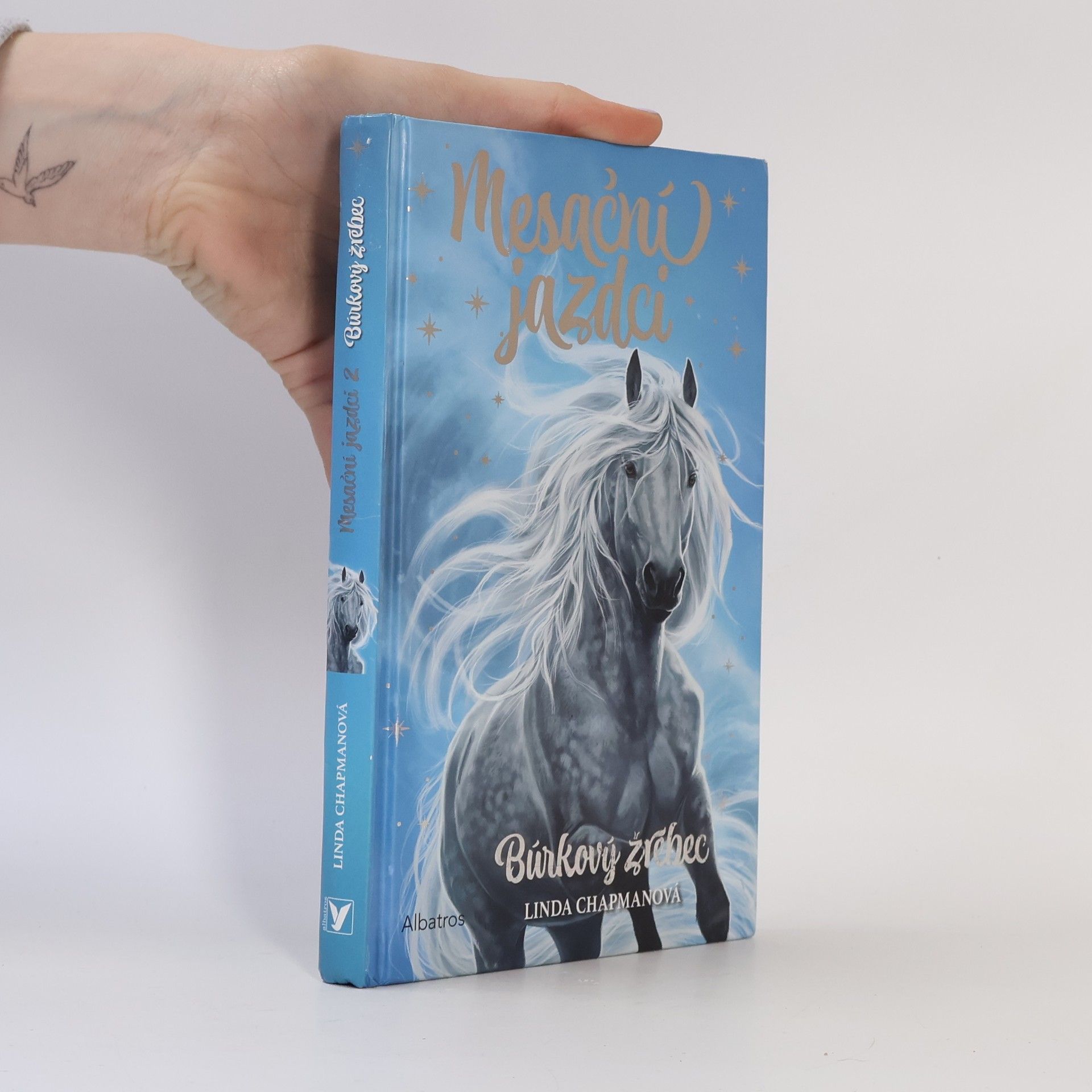 Linda Chapman Mesační jazdci 2: Búrkový žrebec