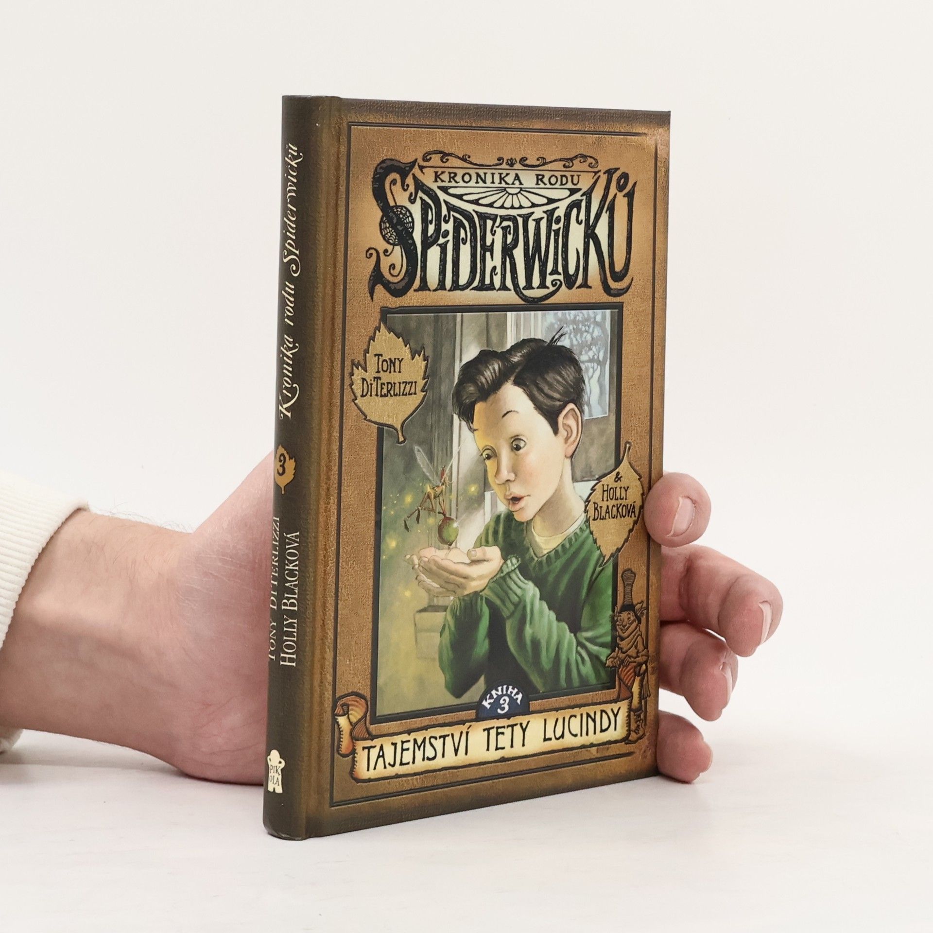 Holly Black Kronika rodu Spiderwicků. Tajemství tety Lucindy 3