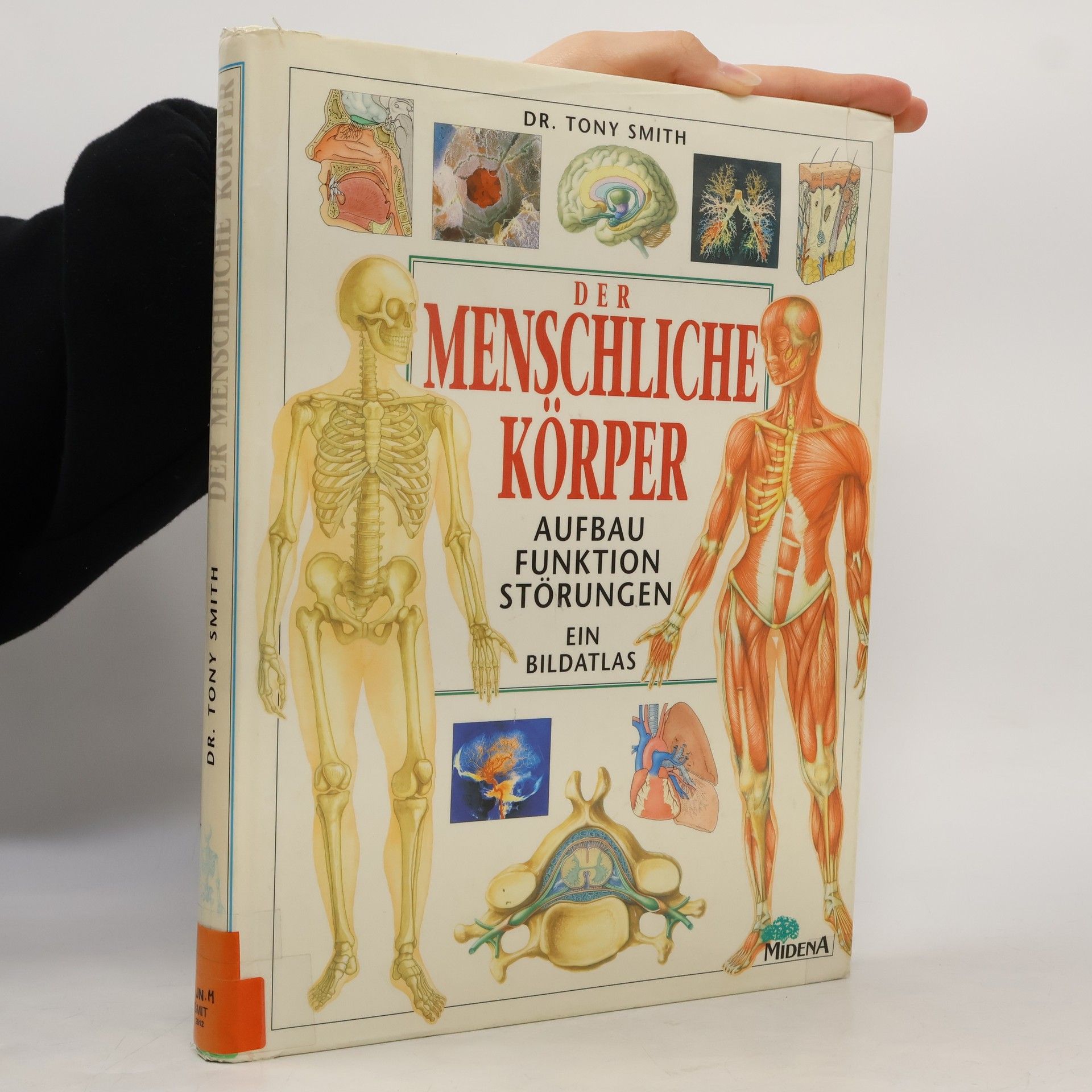 Der menschliche Körper