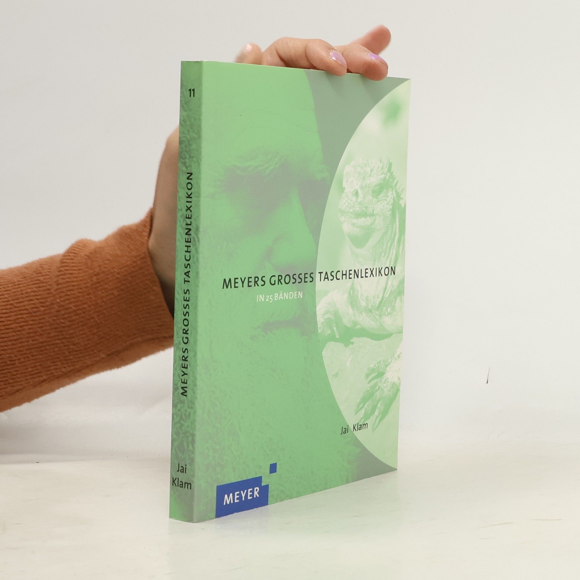 Kolektiv autorů Meyers grosses Taschenlexikon 11