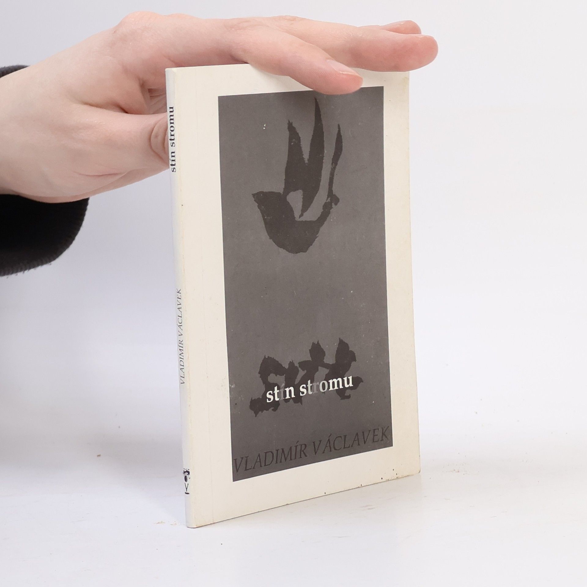Vladimír Václavek Stín stromu