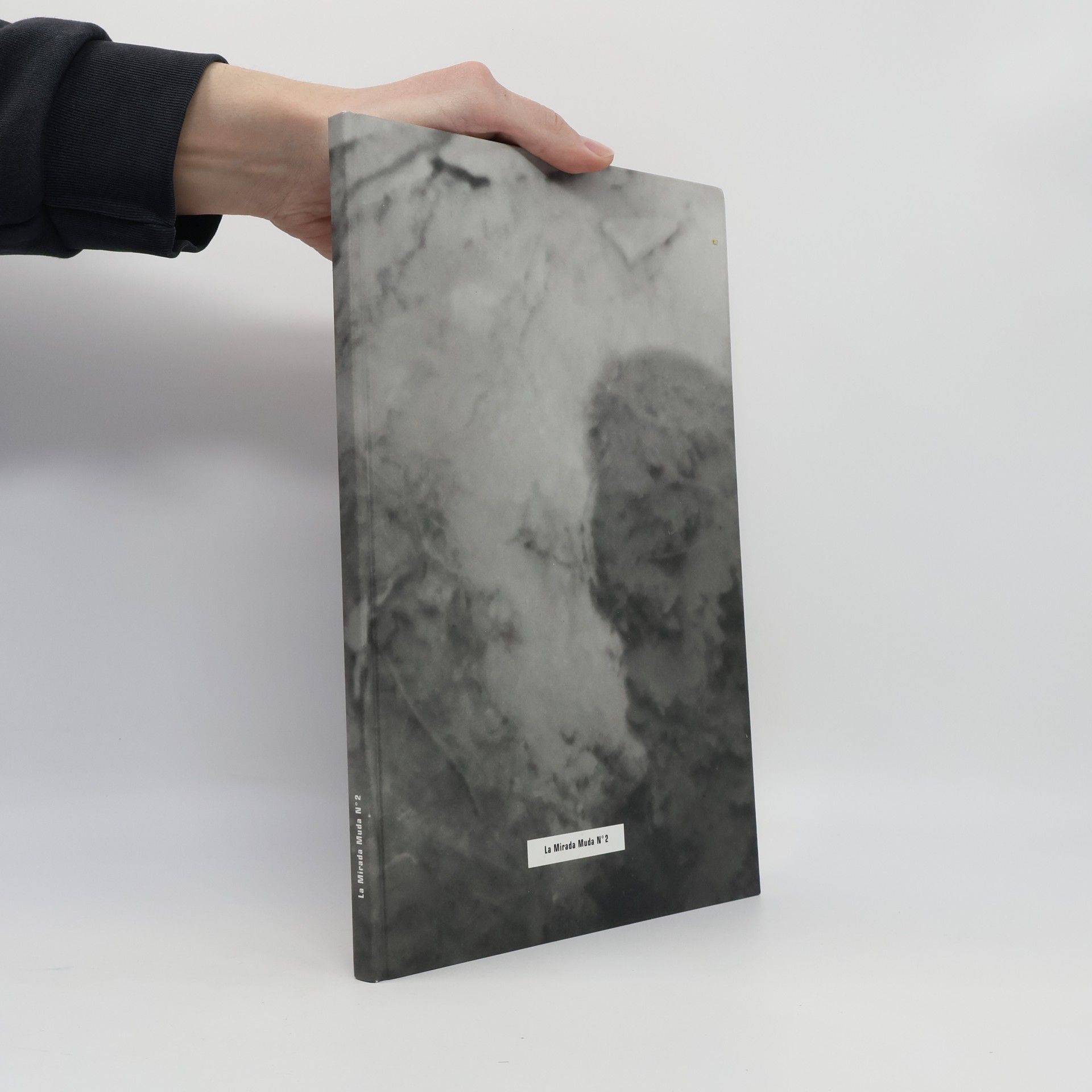 Marina Hämmerle Ignacio Martinez, der stumme Blick No 2, la mirada muda no 2, the mute eye no 2 ; [die Ausstellung Der Stumme Blick No 2 wird im Raum 28/6 in Wien im Oktober 2001 präsentiert]