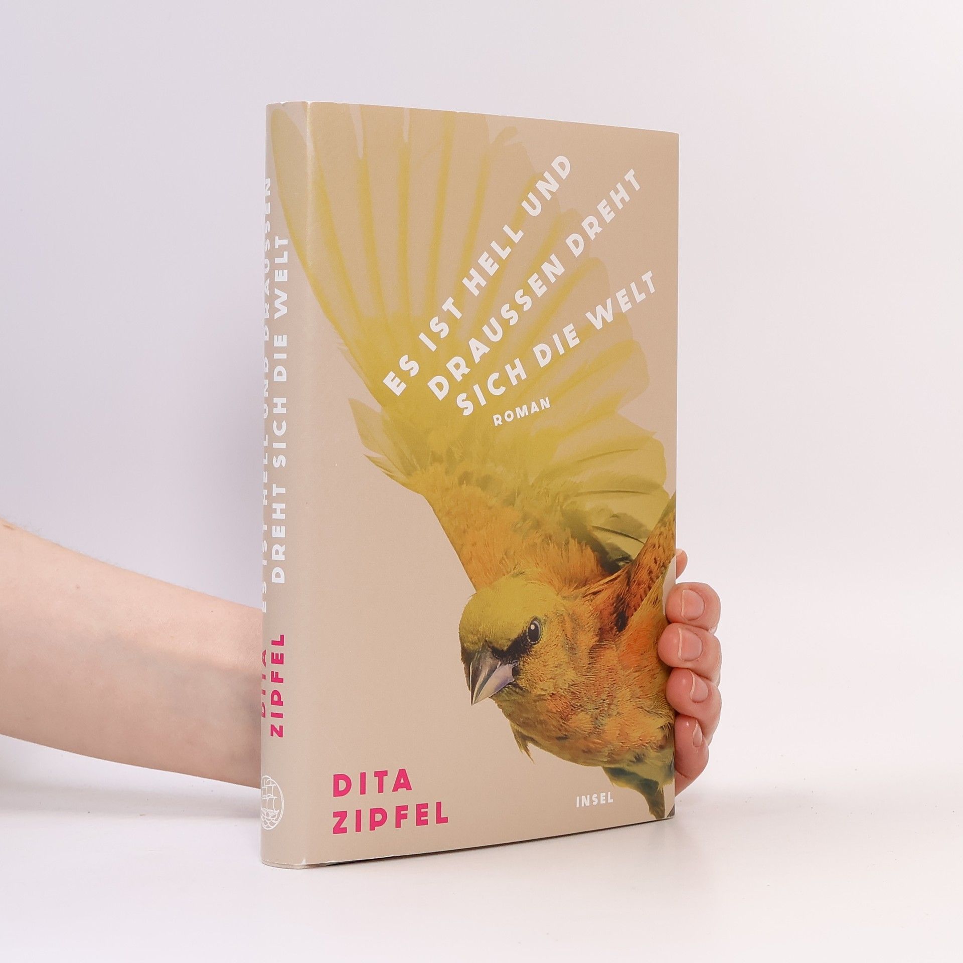 Dita Zipfel Es ist hell und draußen dreht sich die Welt