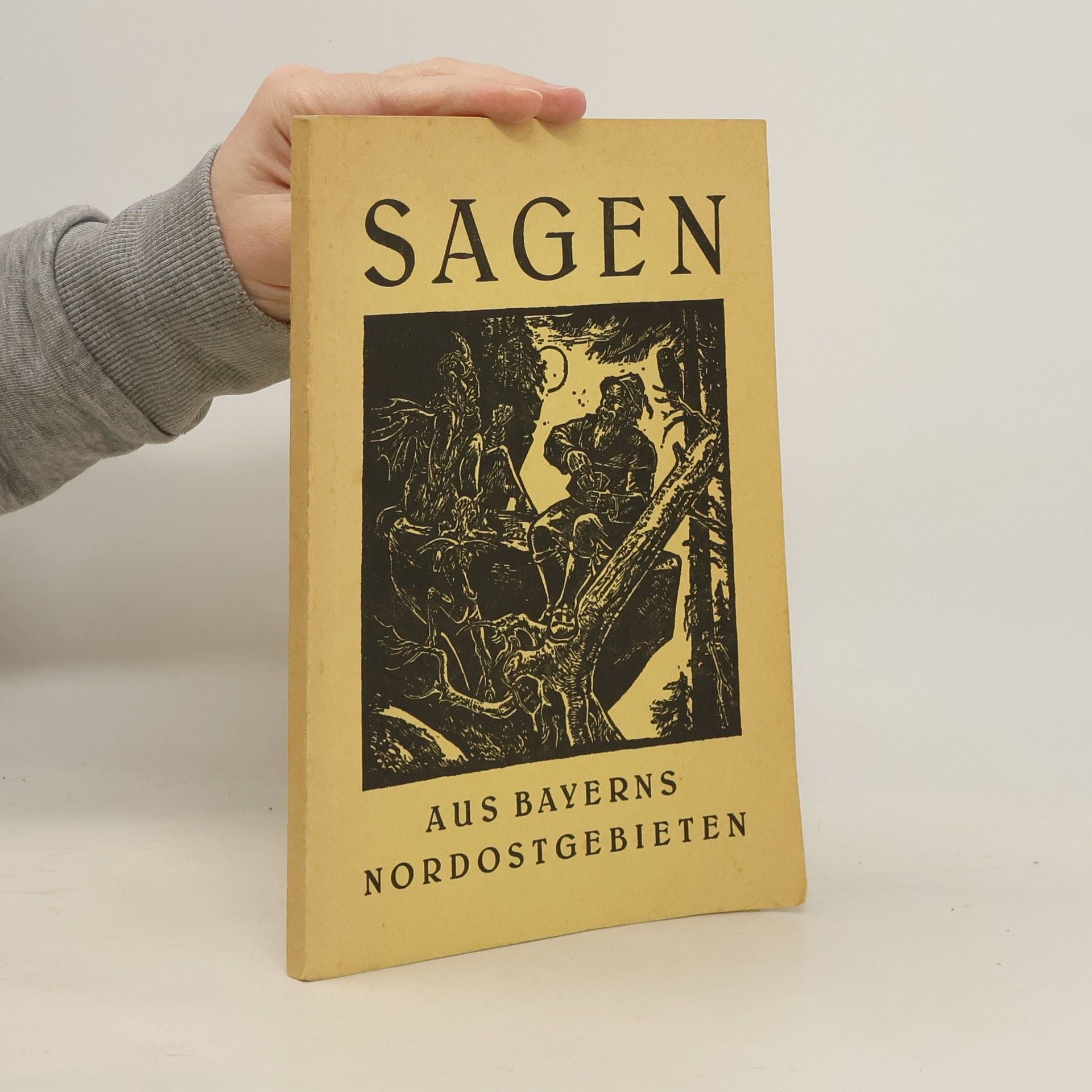 Andreas Reichold Sagen aus Bayerns Nordostgebieten