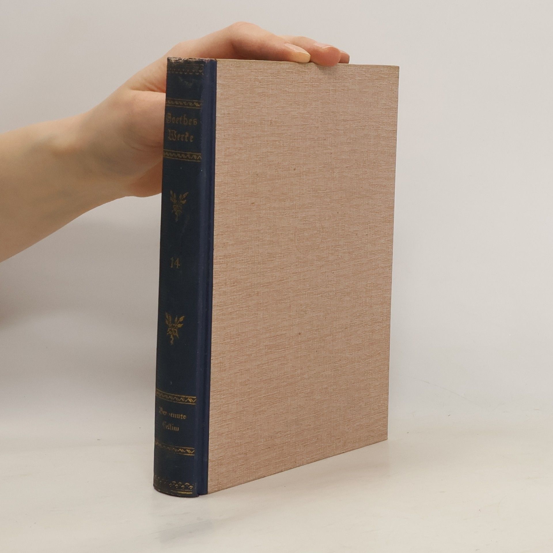 Johann Wolfgang von Goethe Goethes Sämtliche Werke 14