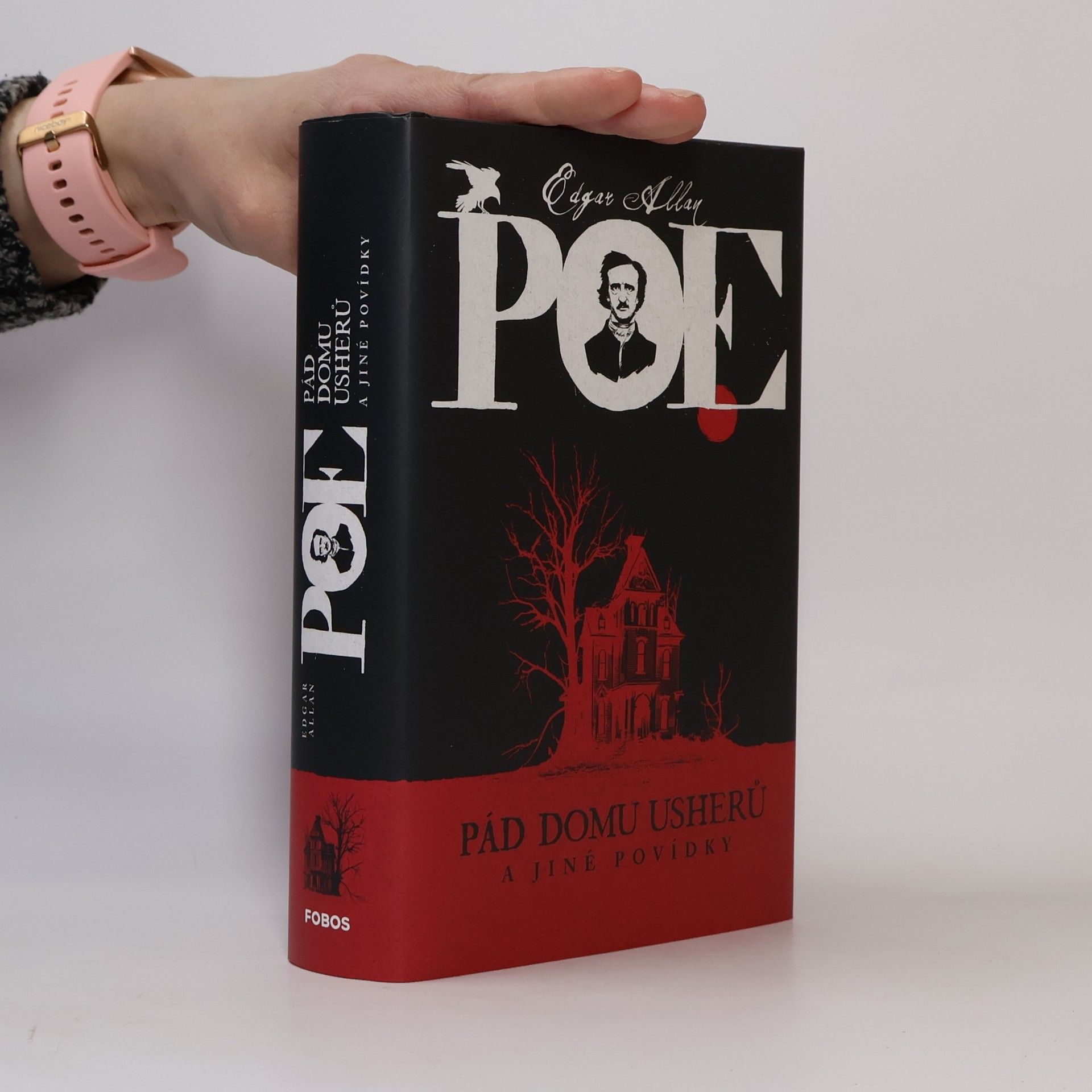 Edgar Allan Poe Pád Domu Usherů a jiné povídky