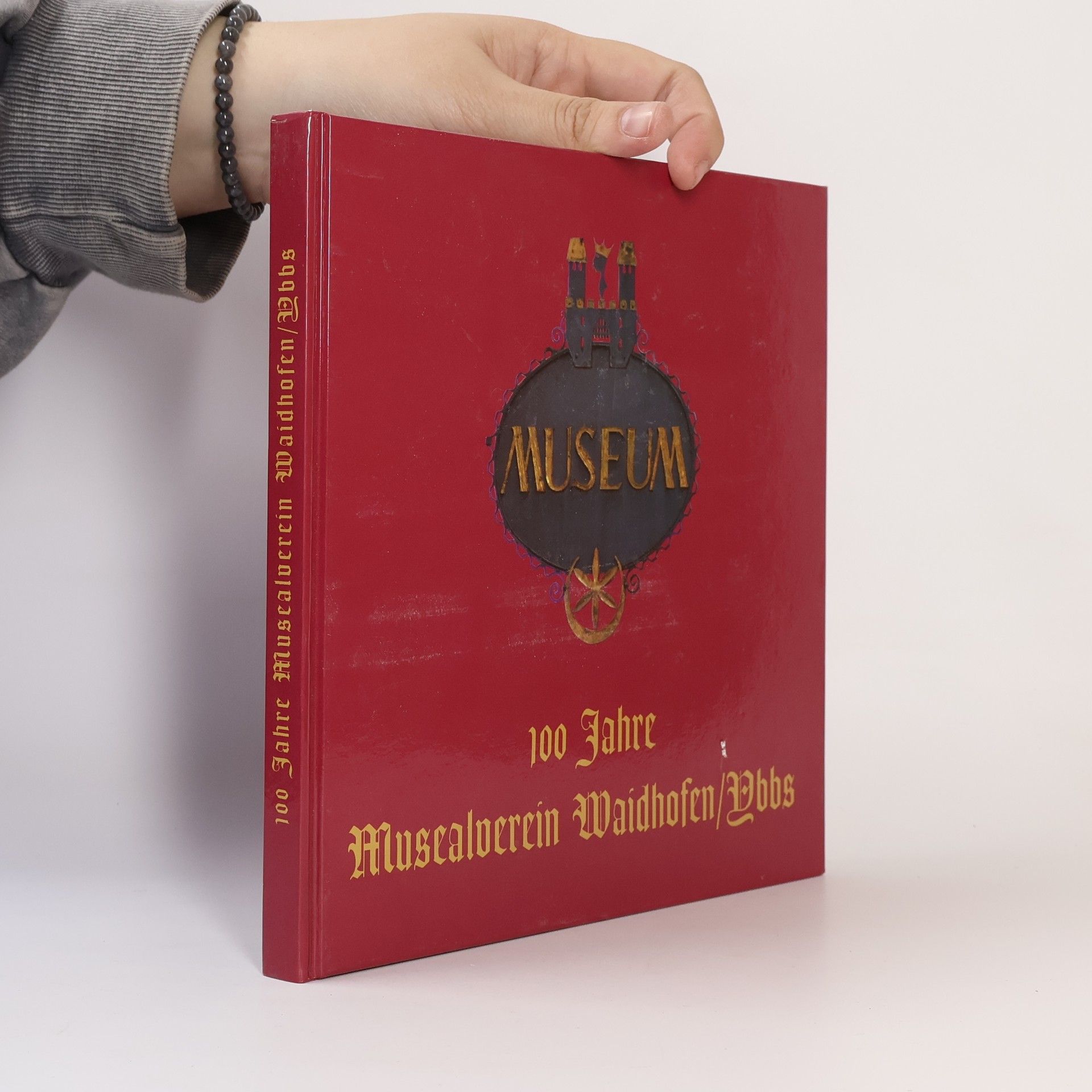 Autorenkollektiv 100 Jahre Musealverein Waidhofen/Ybbs