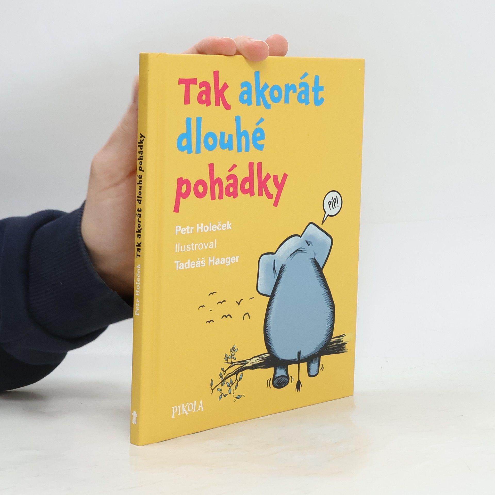 Petr Holeček Tak akorát dlouhé pohádky