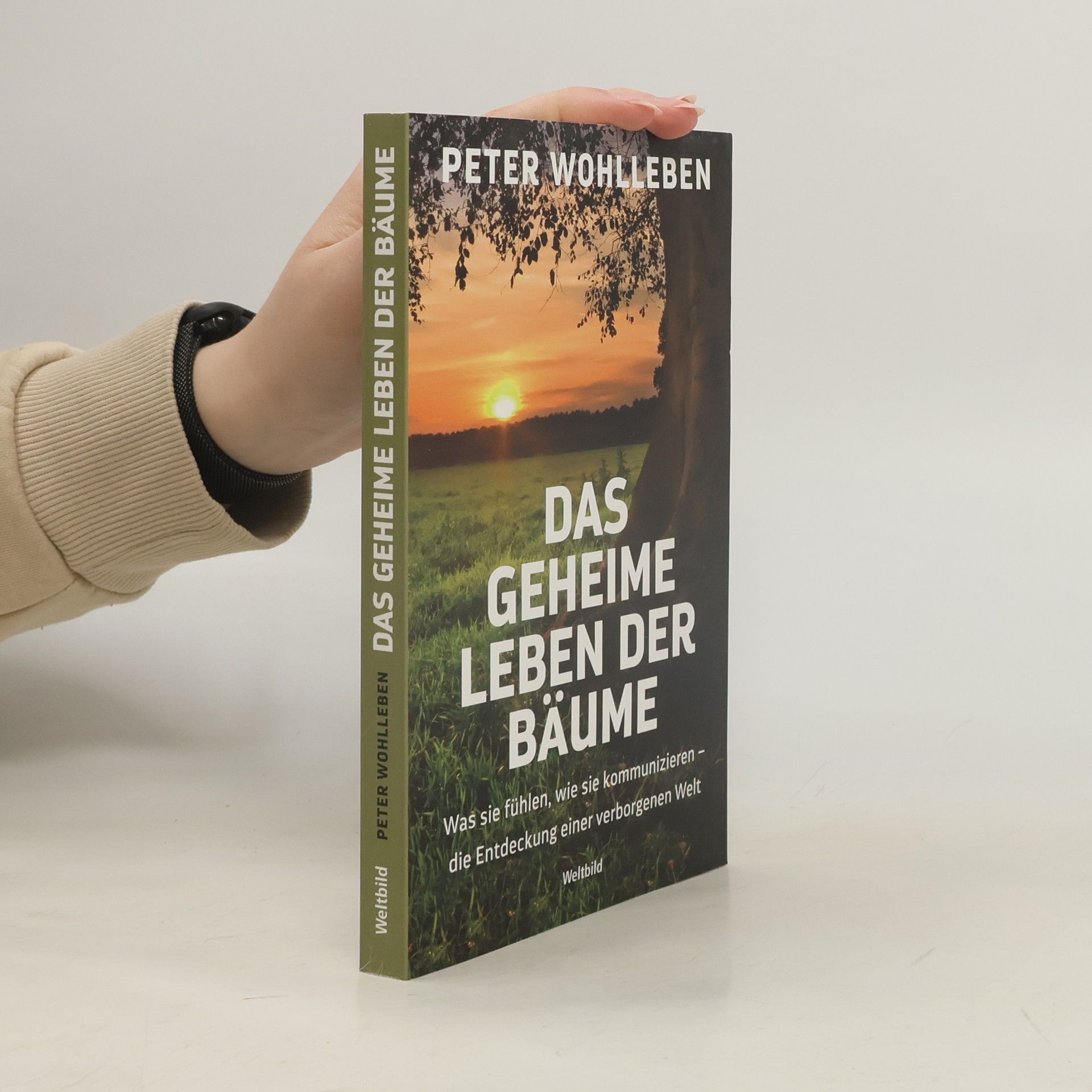 Peter Wohlleben Das geheime Leben der Bäume
