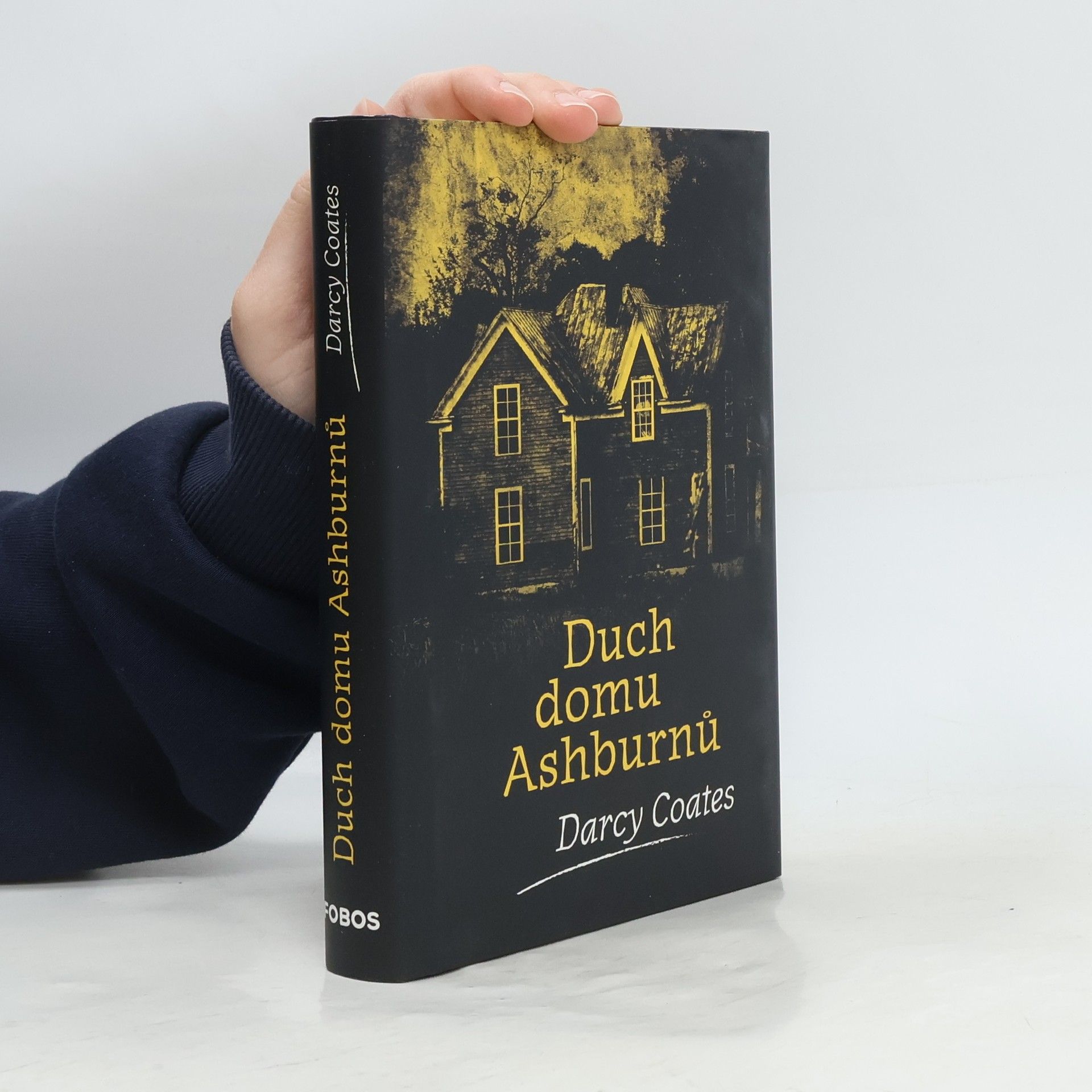 Darcy Coates Duch domu Ashburnů