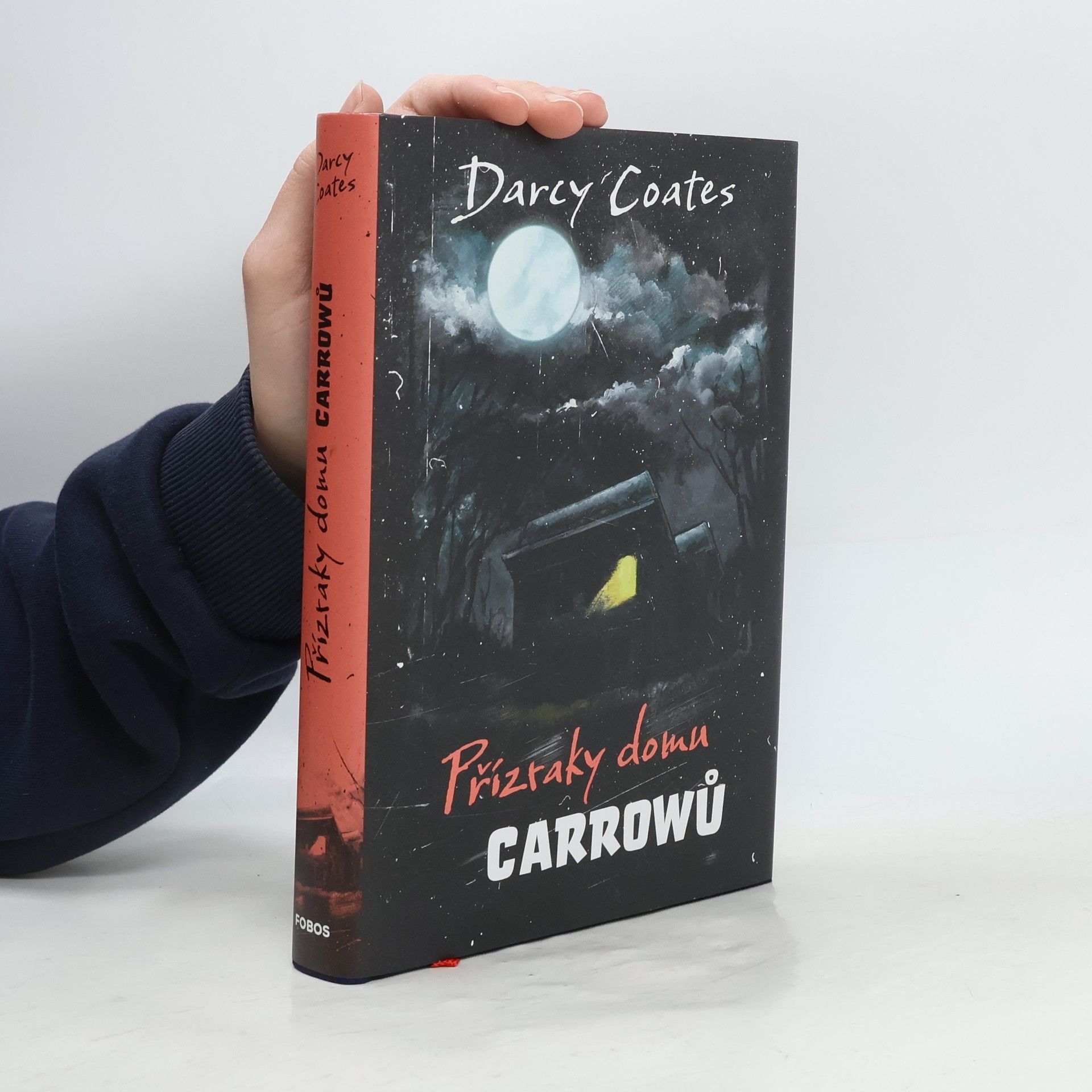 Darcy Coates Přízraky domu Carrowů