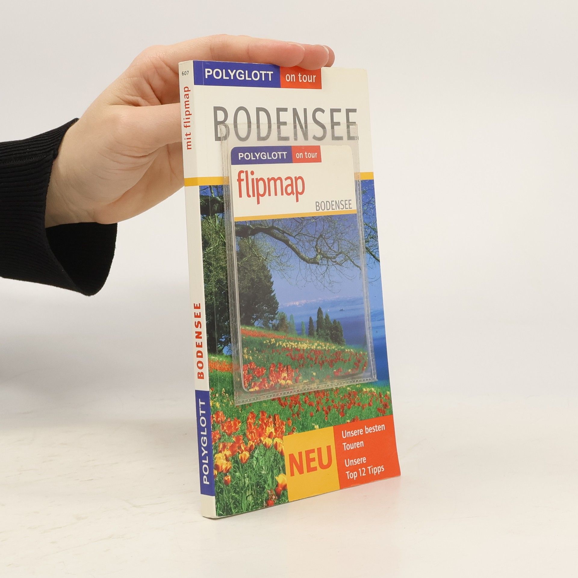 Patrick Brauns Polyglott on tour - 607: Bodensee