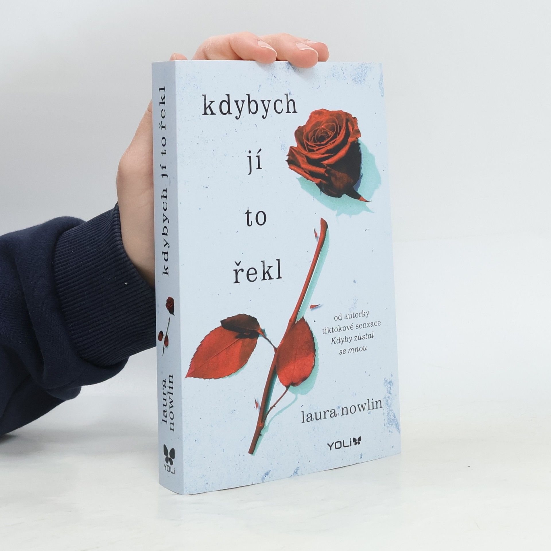 Laura Nowlin Kdybych jí to řekl