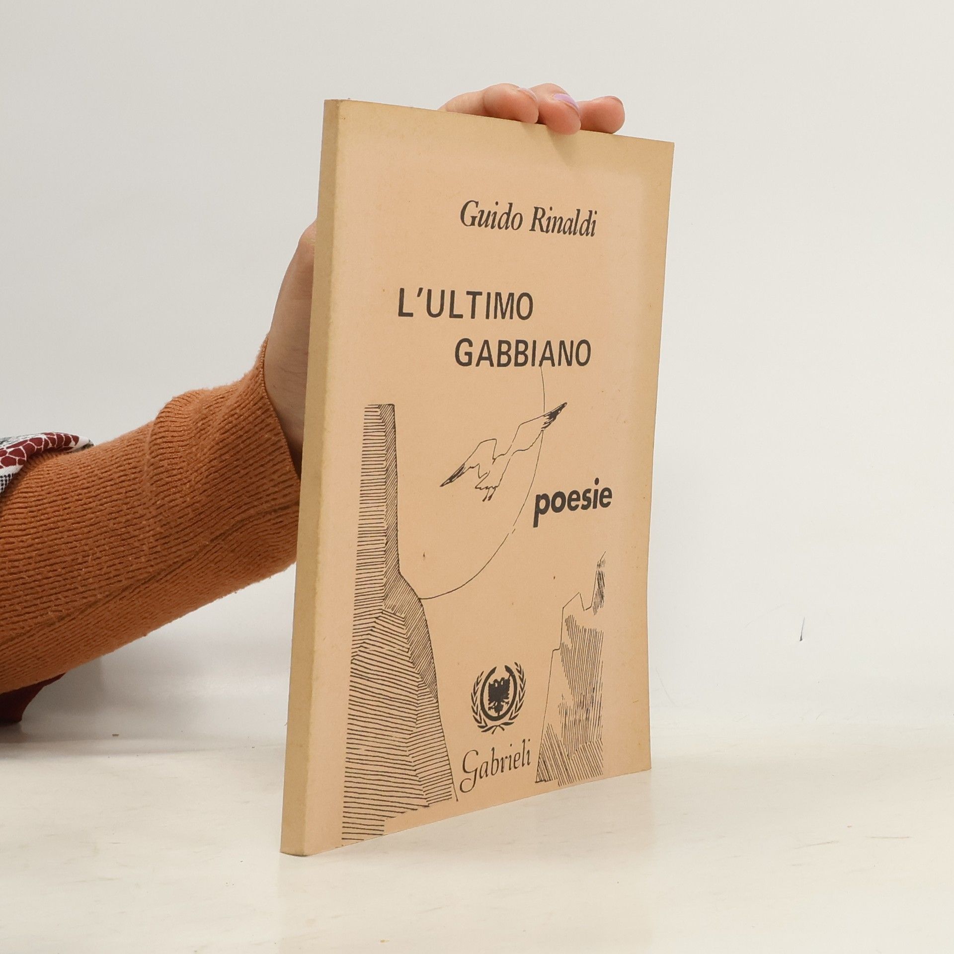 Guido Rinaldi L'ultimo gabbiano