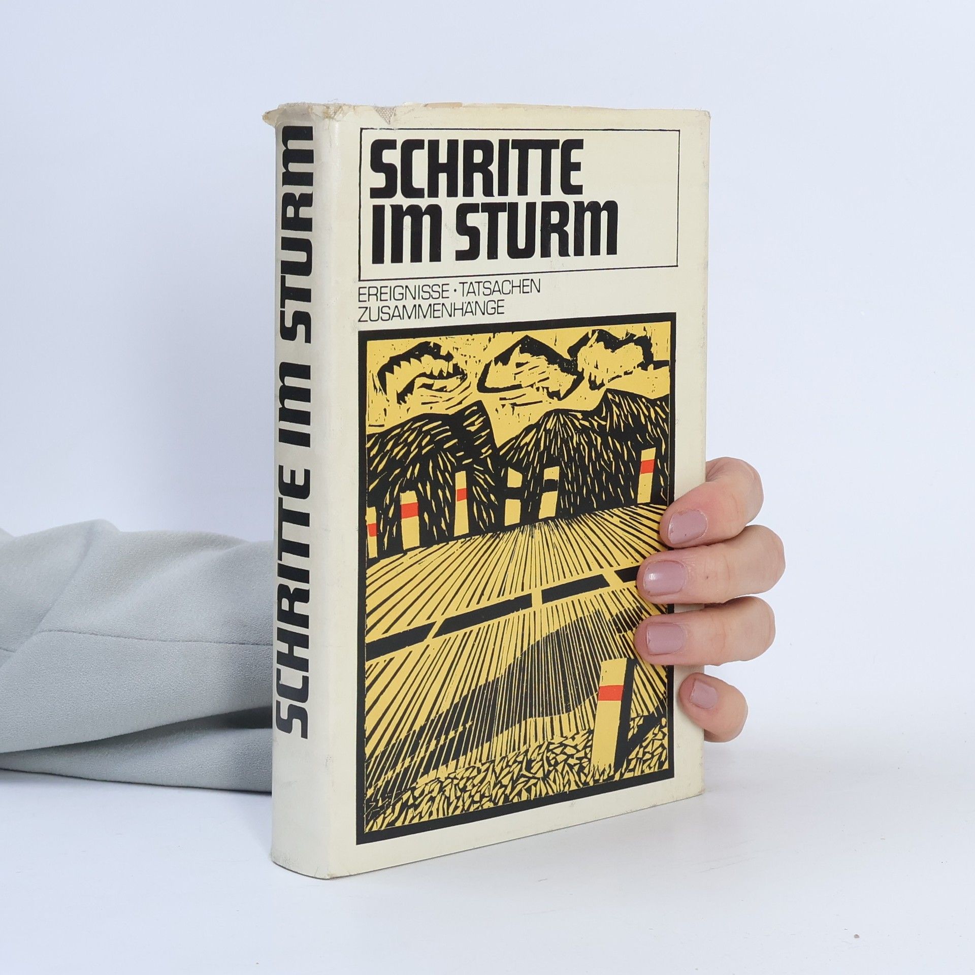 Various authors Schritte im Sturm