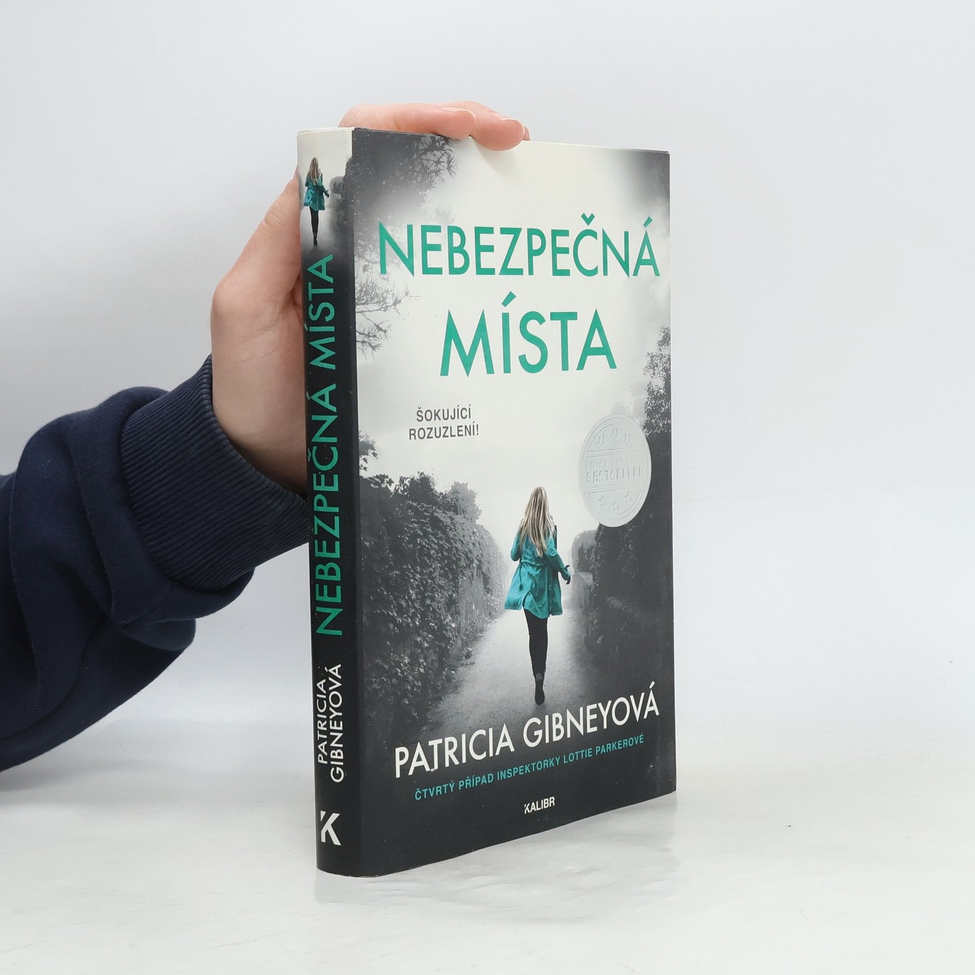 Patricia Gibney Nebezpečná místa