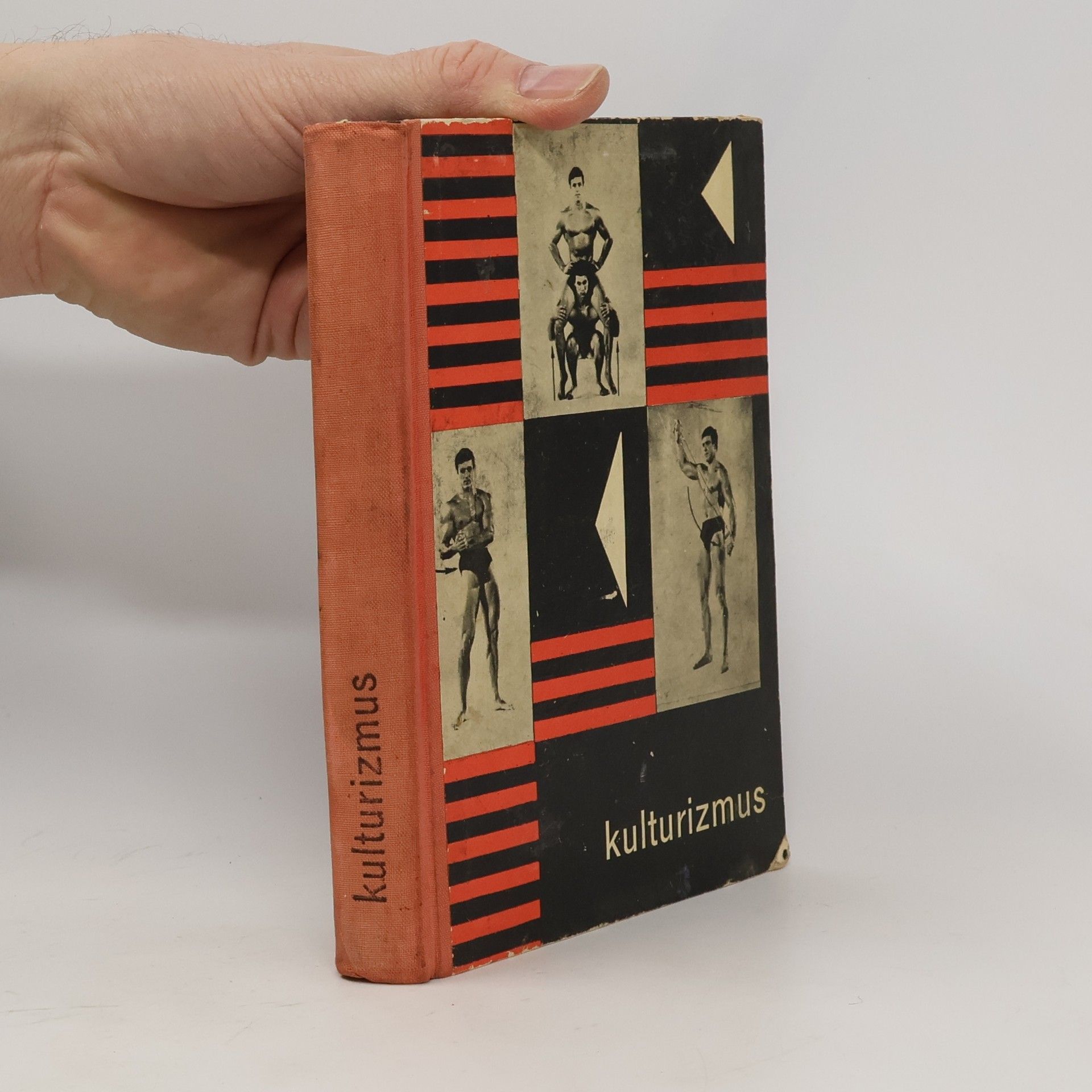 Kolektiv autorů Kulturizmus