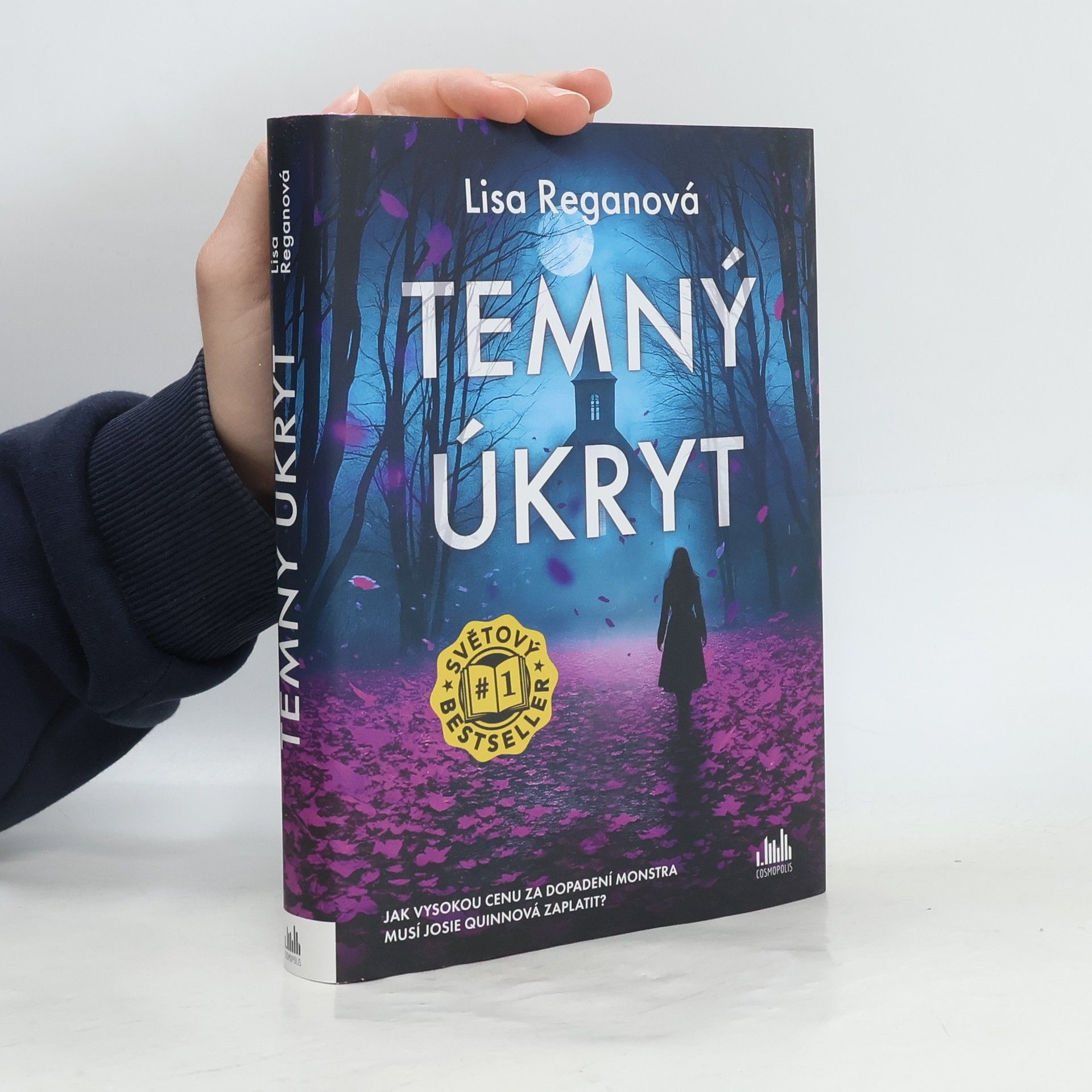 Lisa Regan Temný úkryt