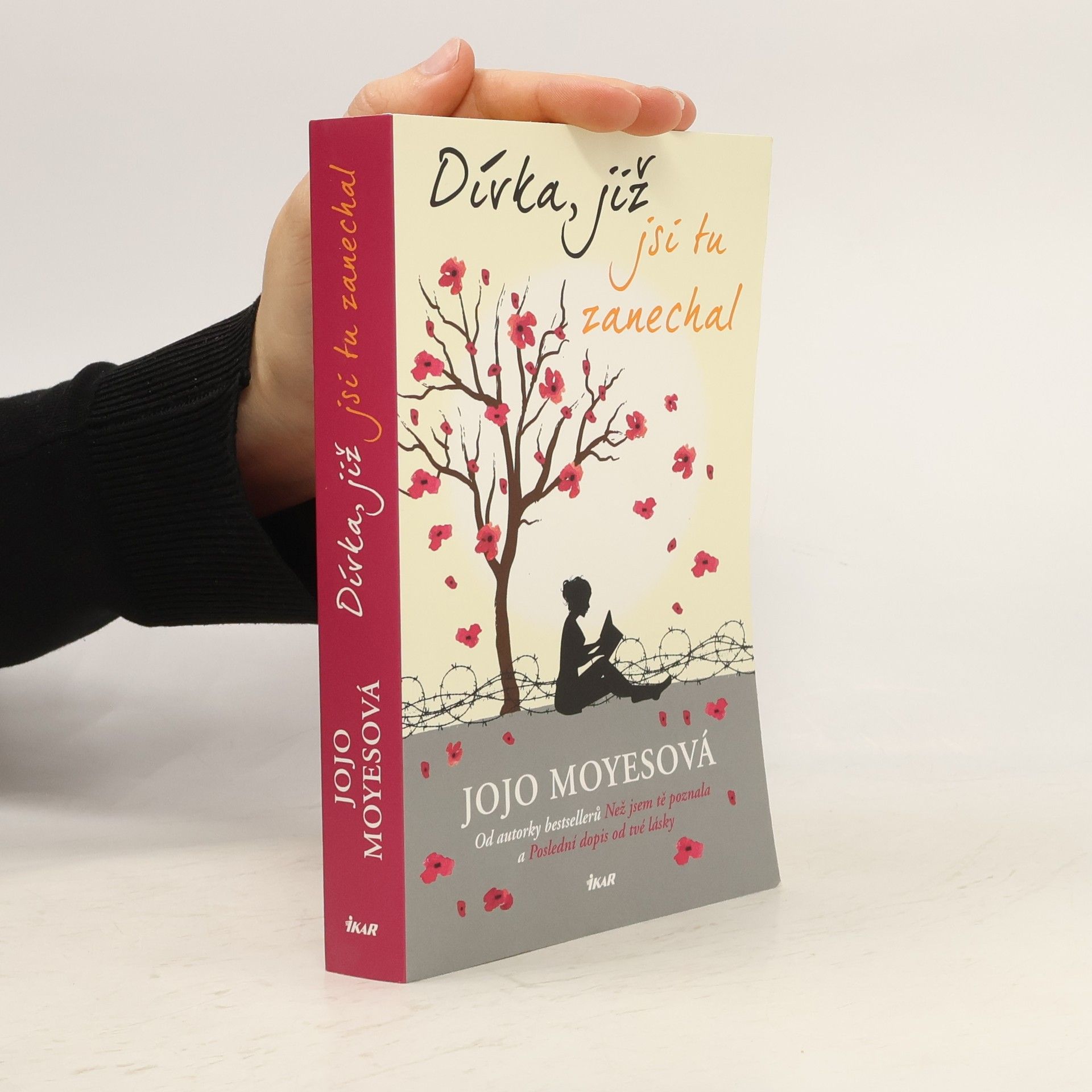 Jojo Moyes Dívka, již jsi tu zanechal