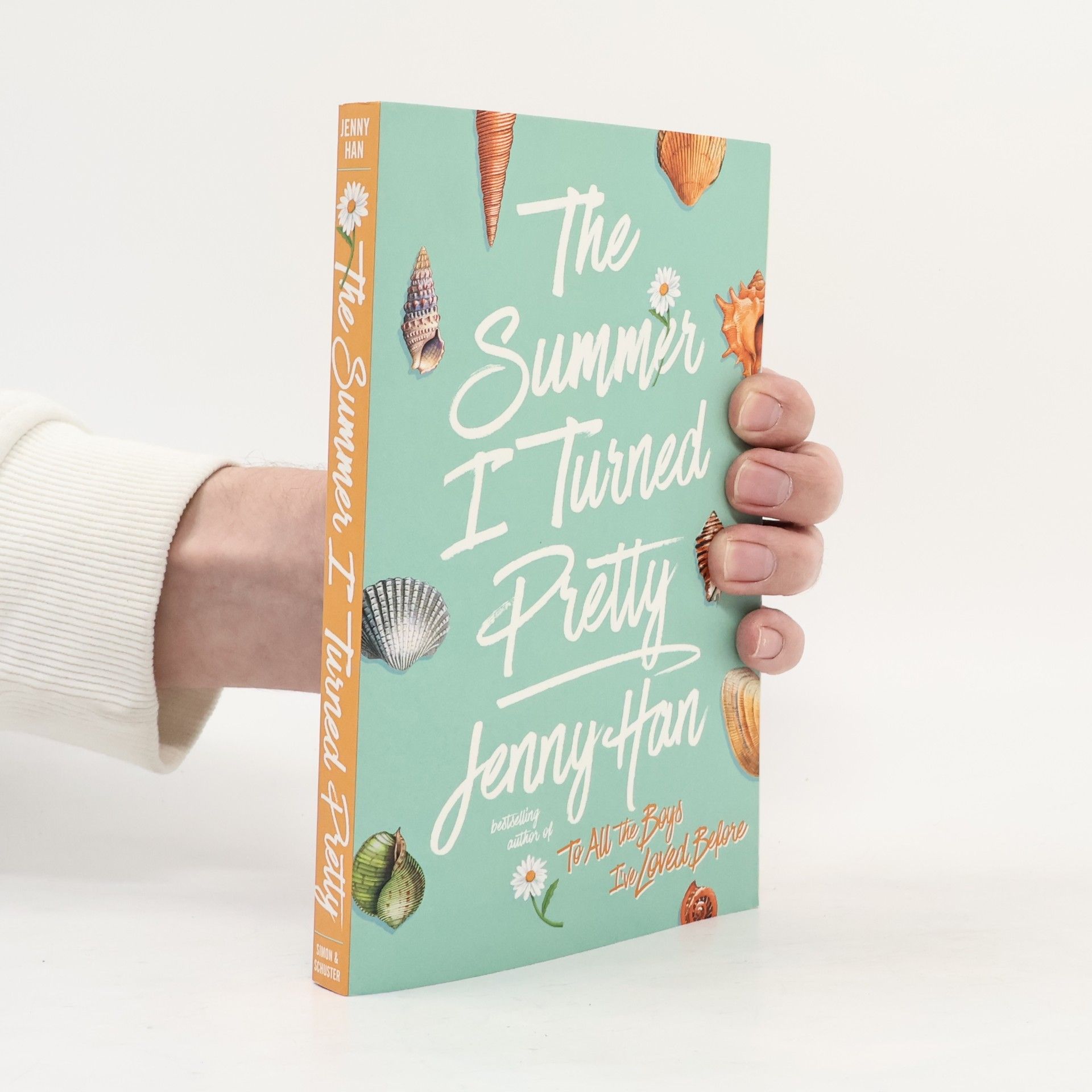 Jenny Han The Summer I Turned Pretty