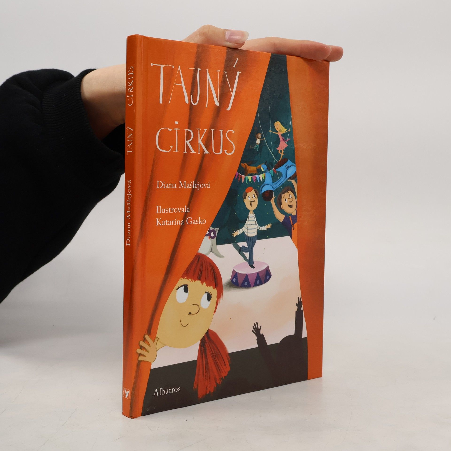 Diana Mašlejová Tajný cirkus