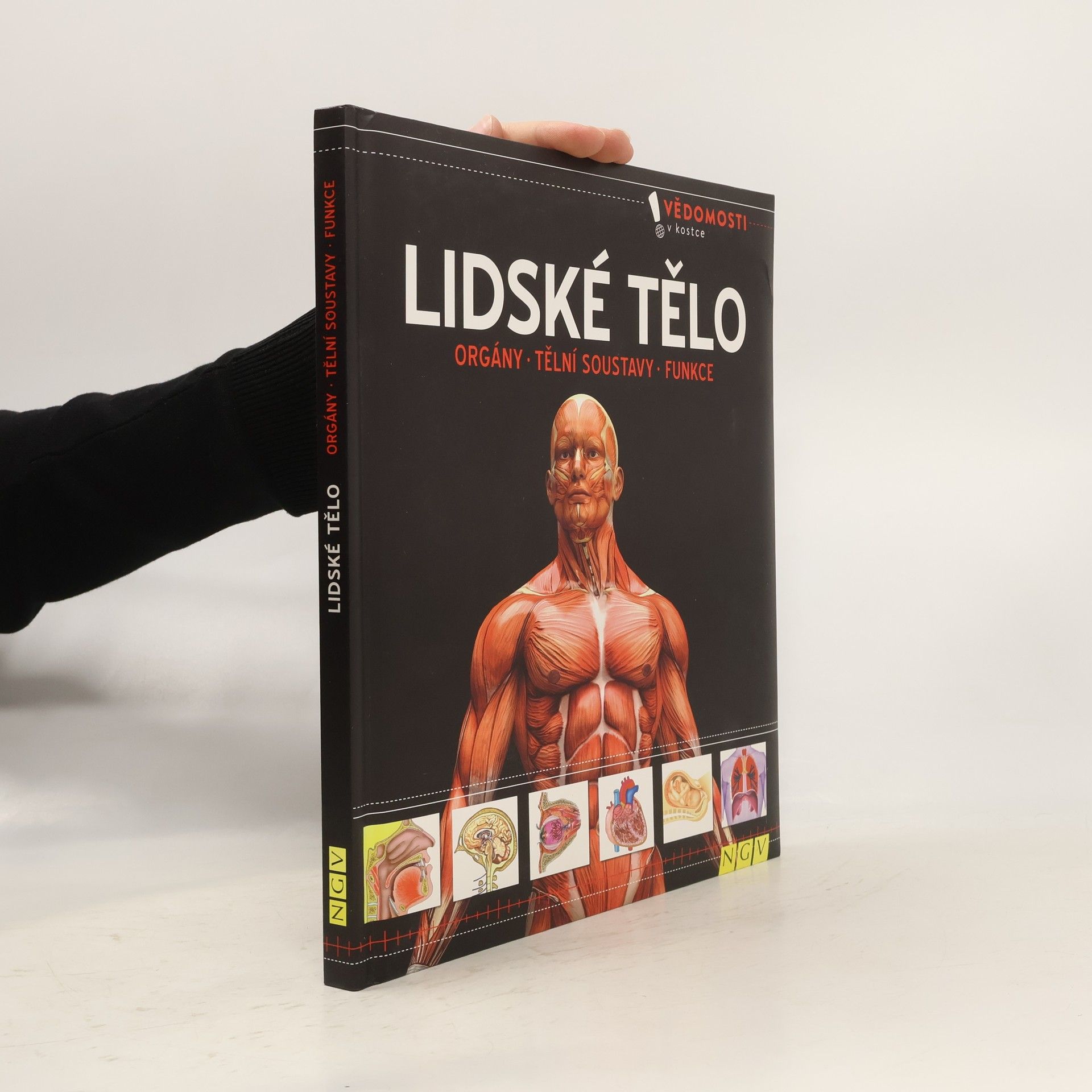 AA.VV. Lidské tělo. Orgány, tělní soustavy, funkce