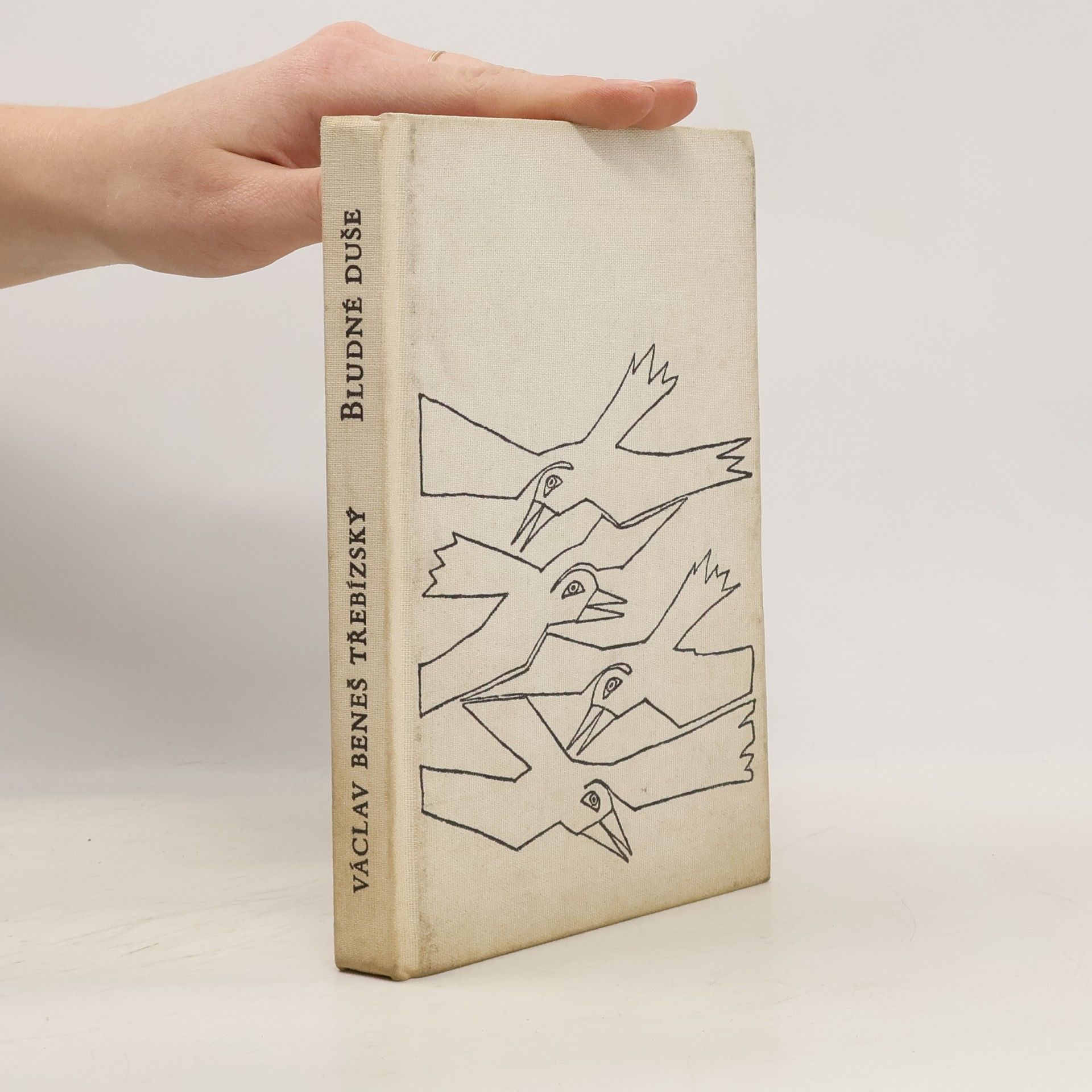 Václav Beneš Třebízský Bludné duše