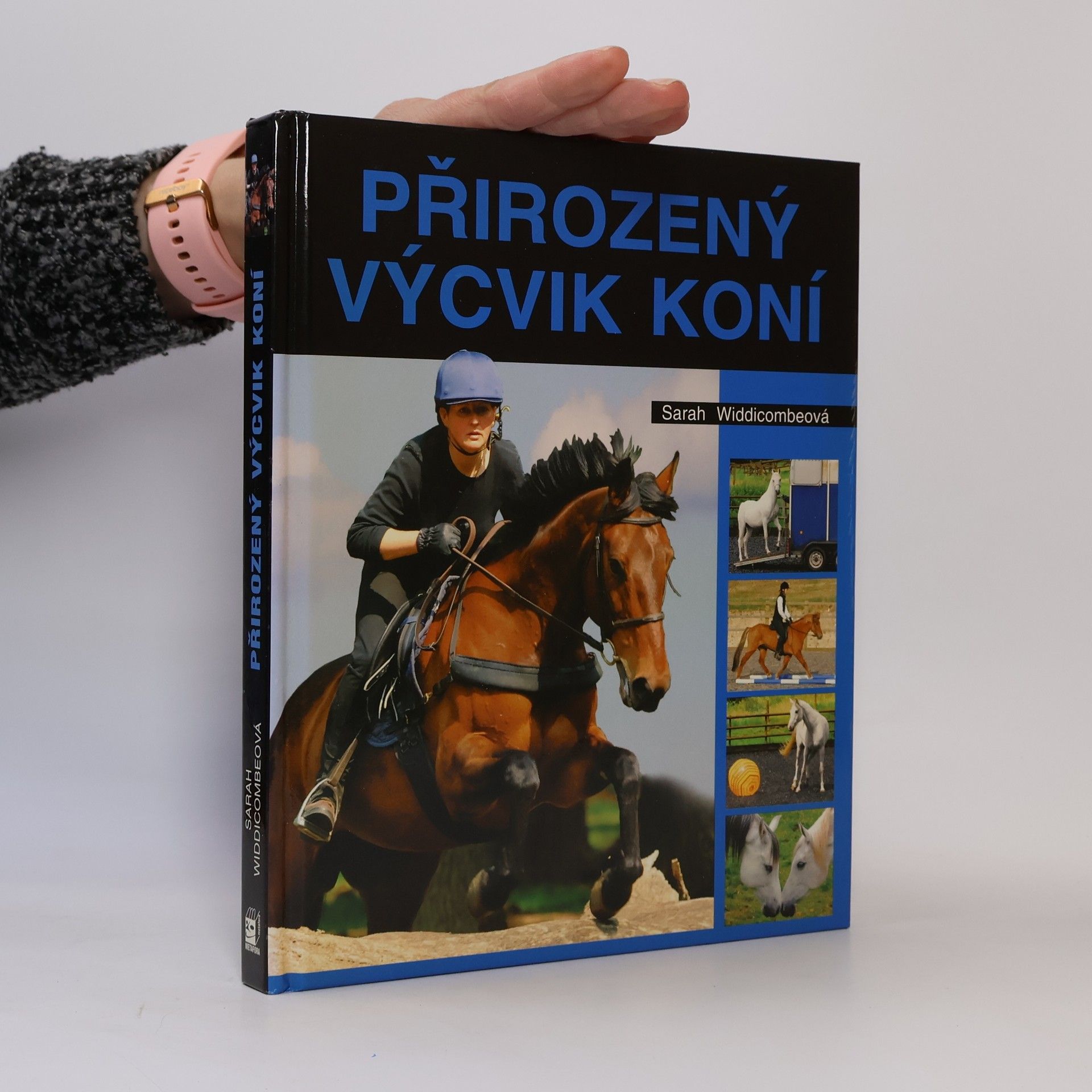 Sarah Widdicombe Přirozený výcvik koní